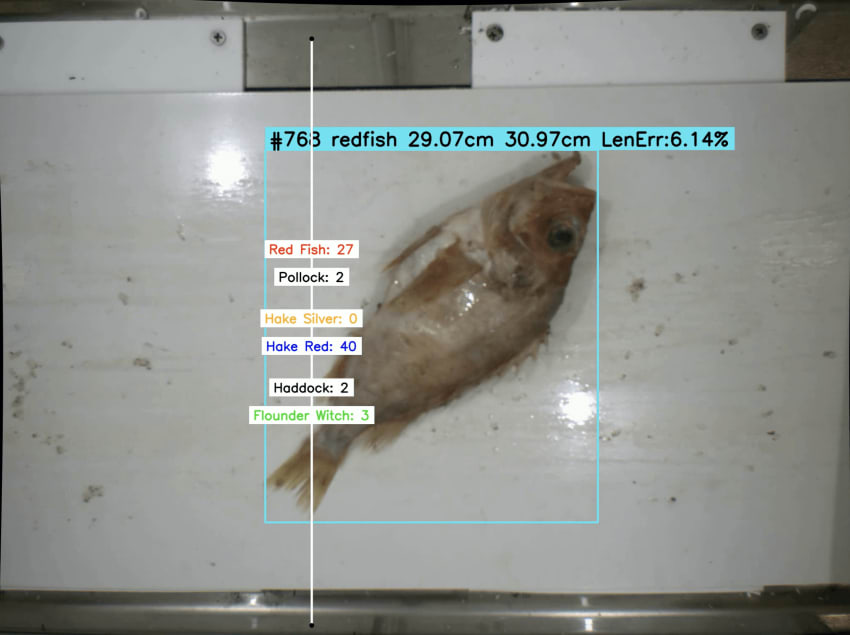 AI-Boosted Fish Discard Chute (Research Paper) by Pratishthit Choudhary