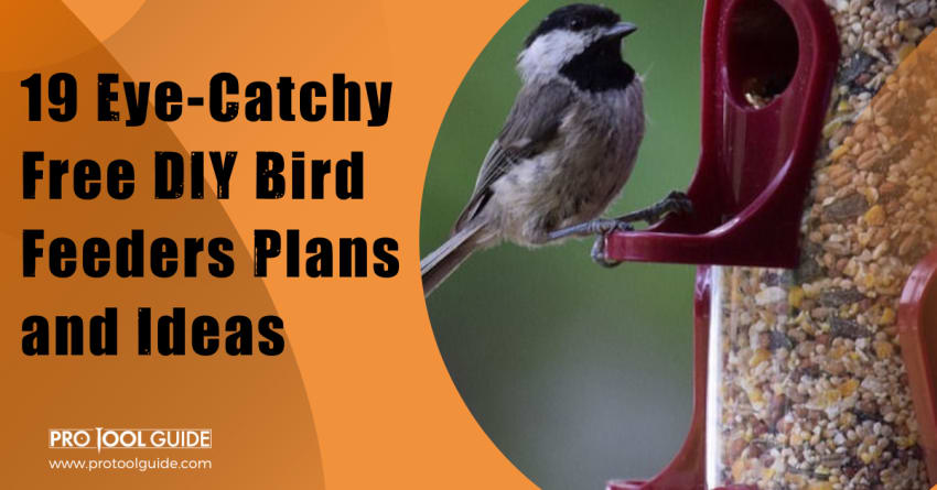 19 Eye-Catchy Free DIY Bird Feeders Plans and Ideas by Paulami Bose