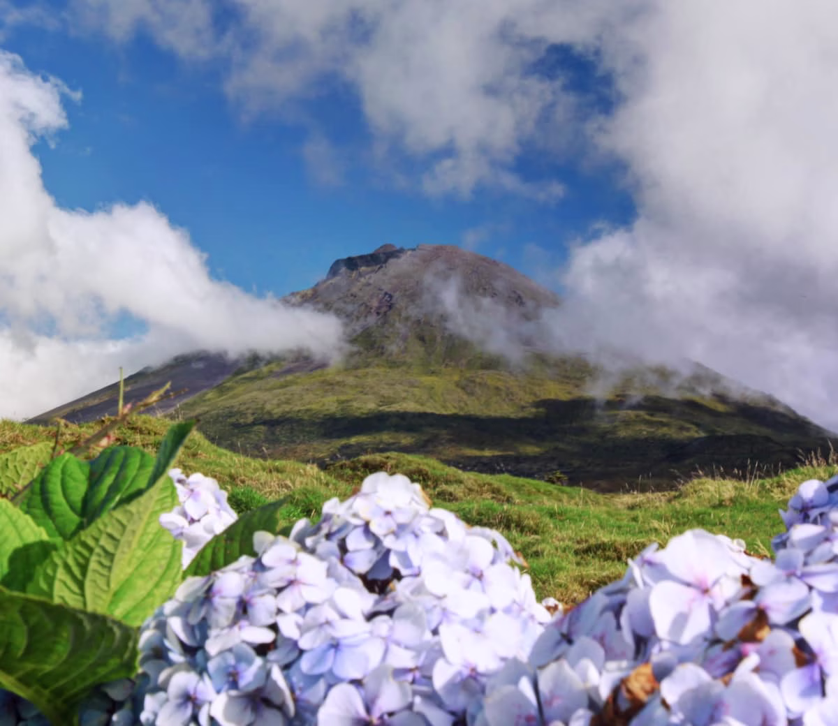 Placeholder project card media