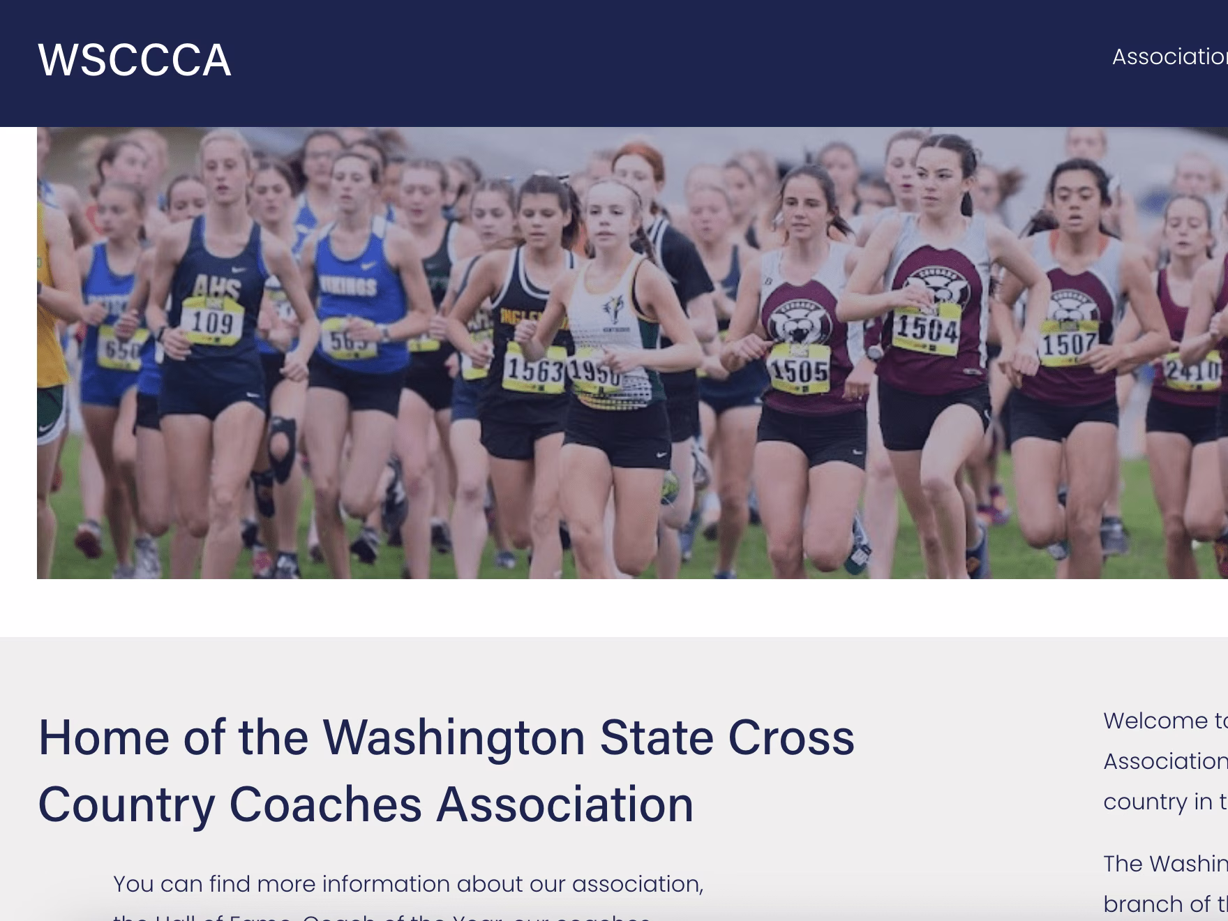 Placeholder project card media