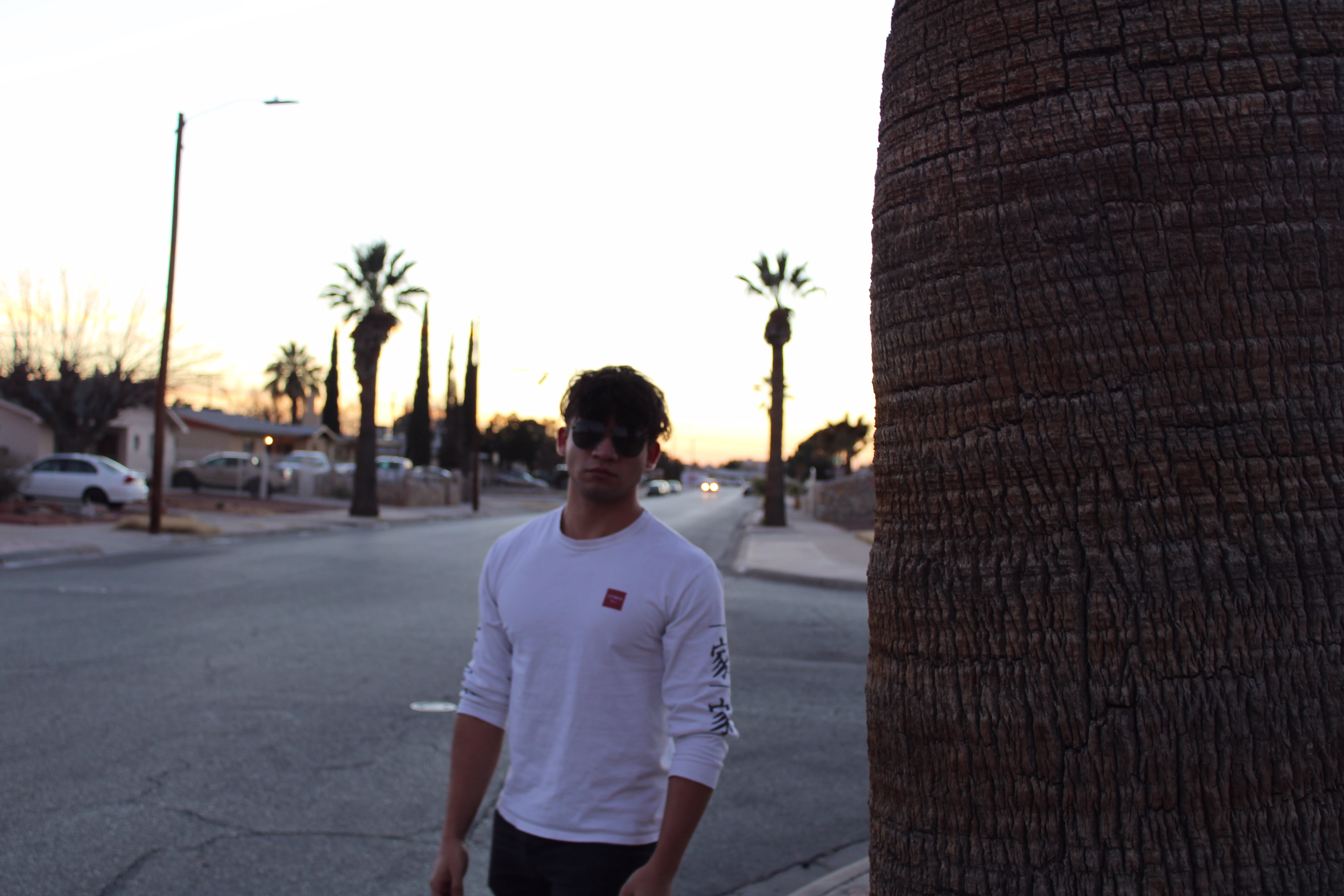 Placeholder project card media