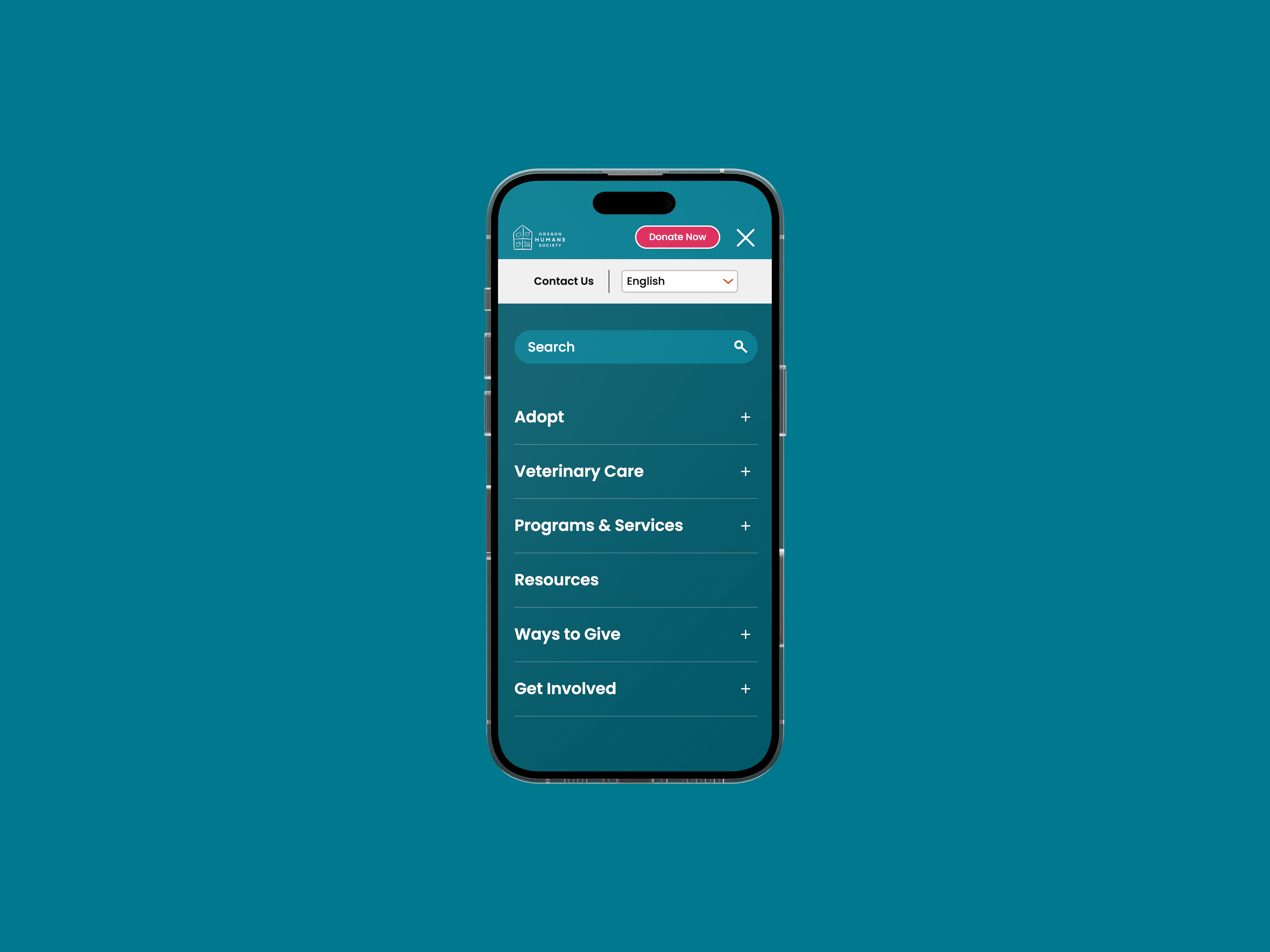 Placeholder project card media