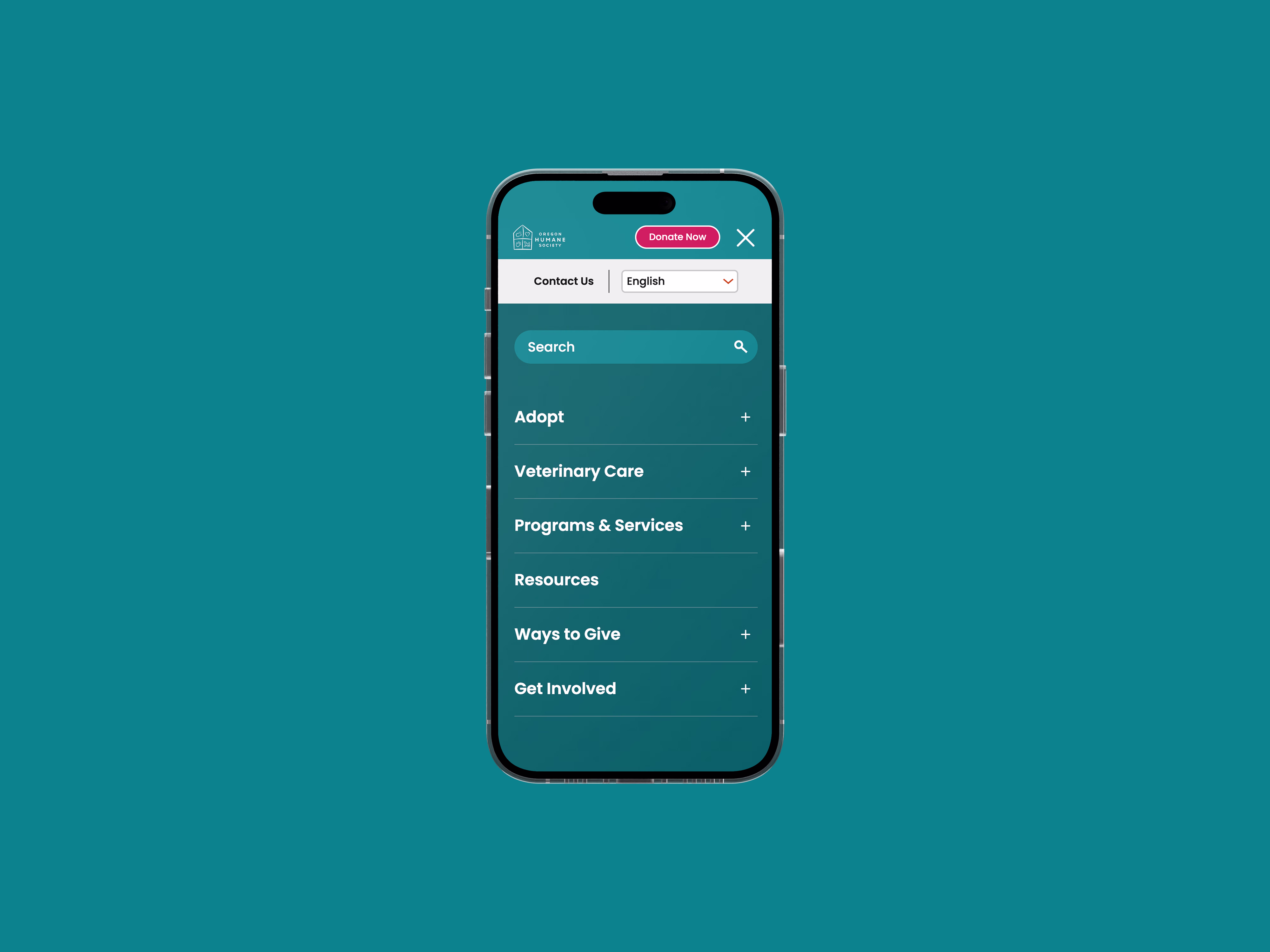 Placeholder project card media