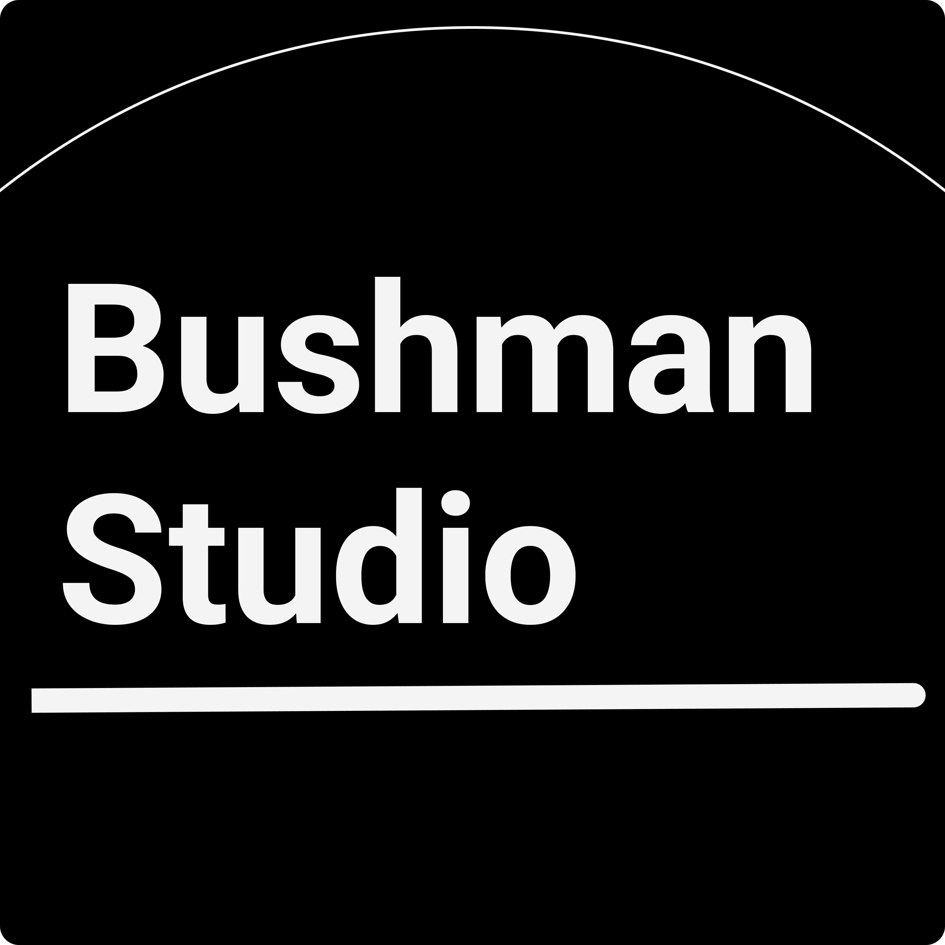 Bushman Studio logo