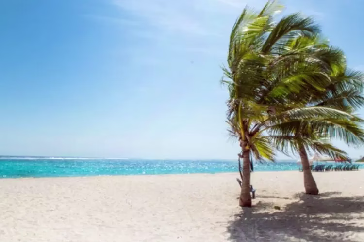 Placeholder project card media