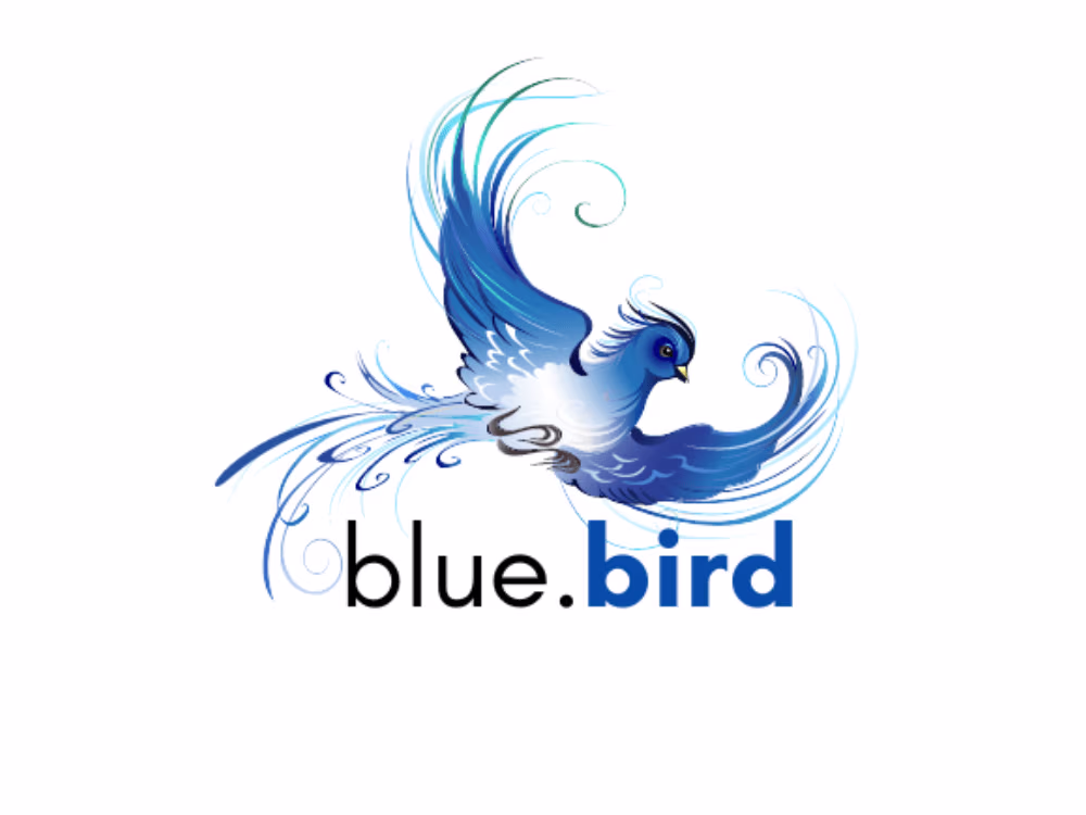 Placeholder project card media