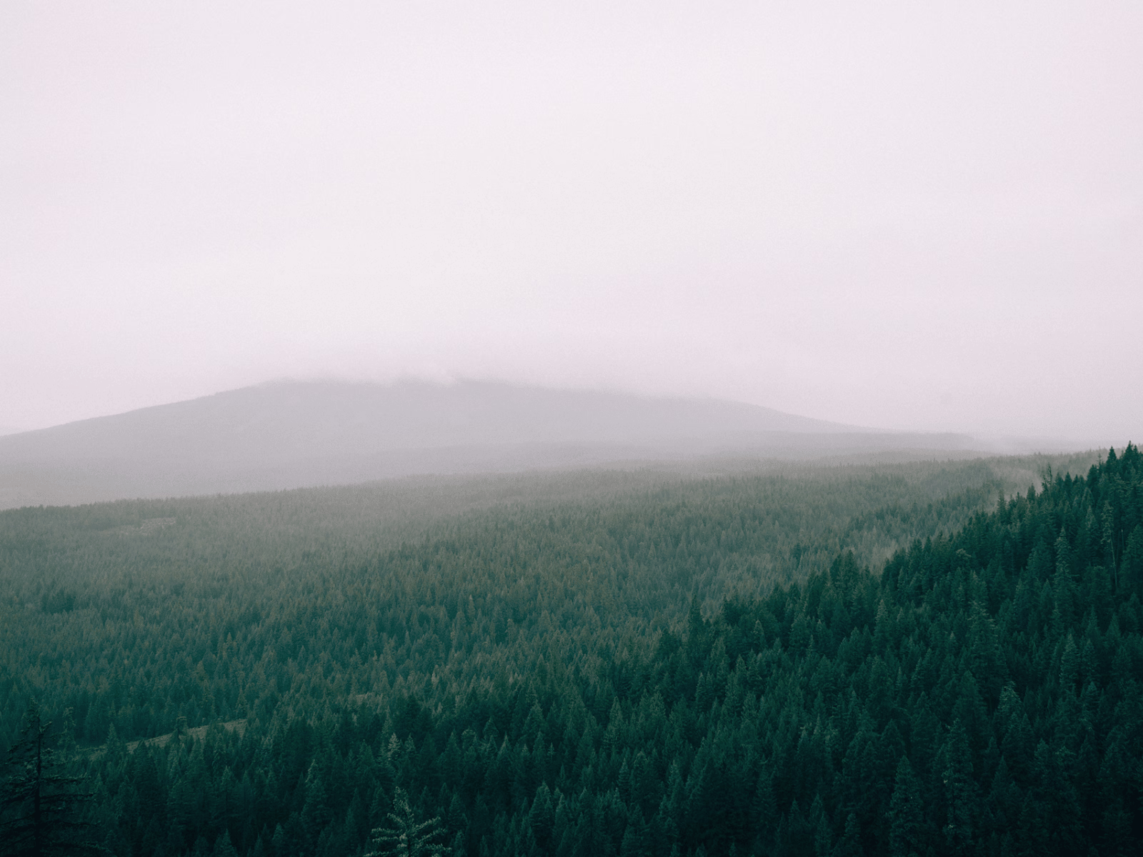 Placeholder project card media