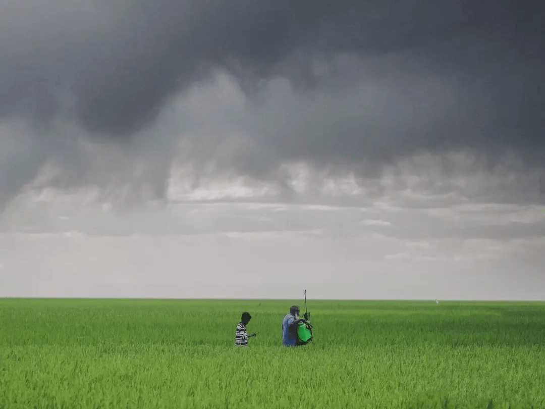 Placeholder project card media