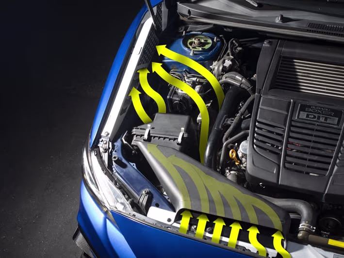 Placeholder project card media