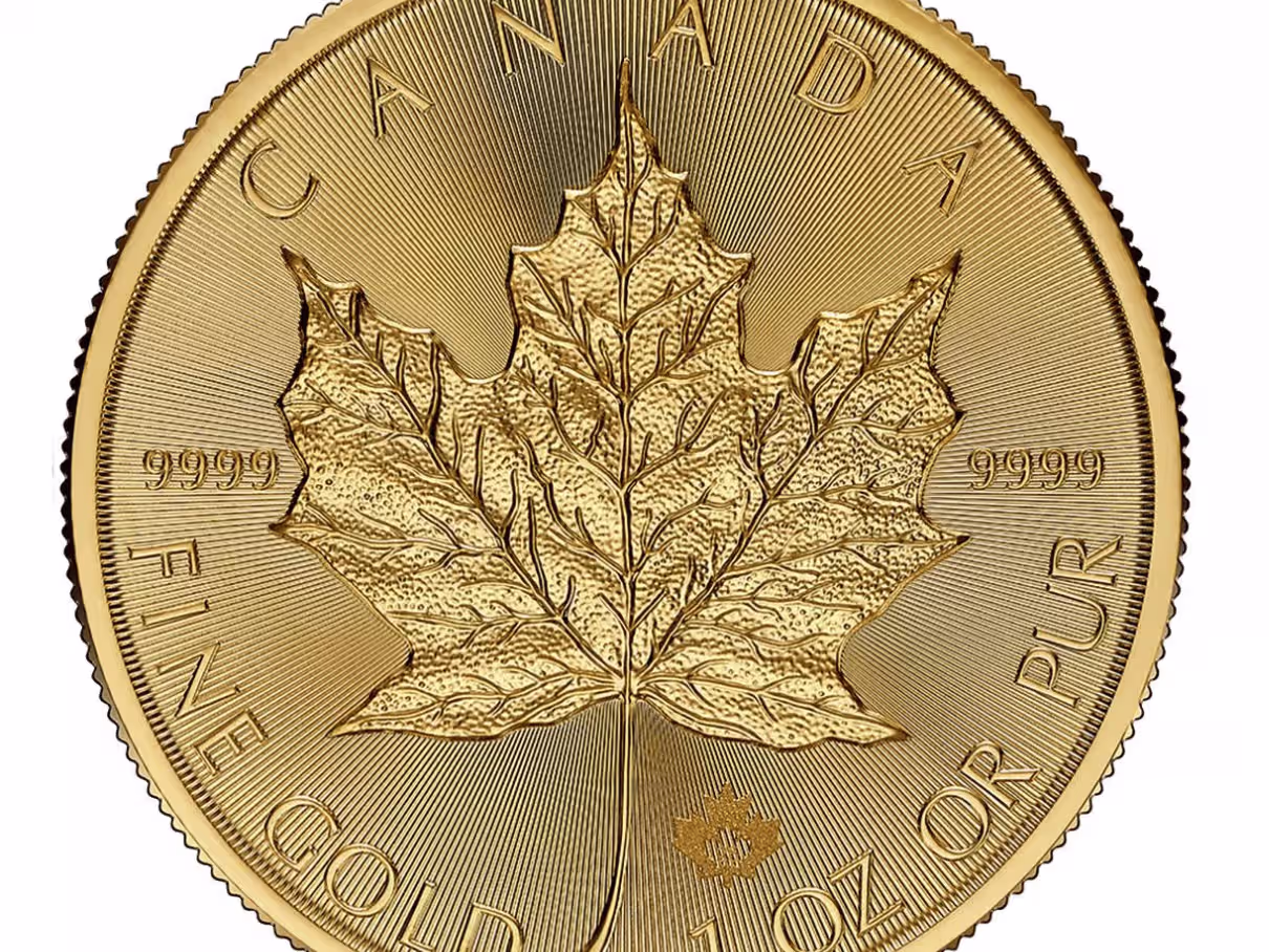 Placeholder project card media