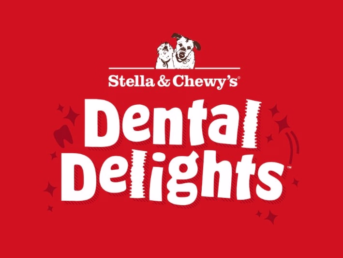 Placeholder project card media