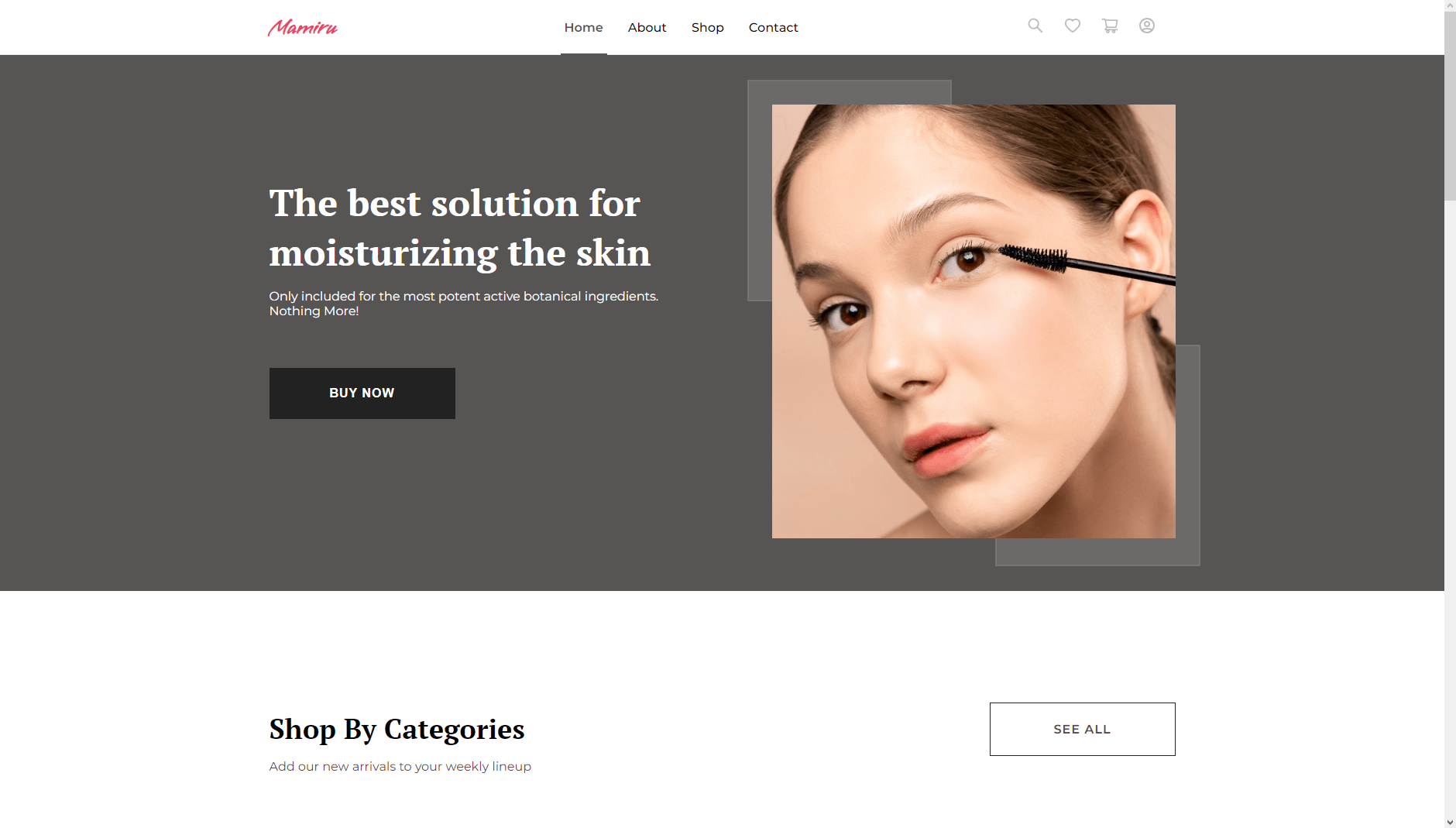 Placeholder project card media