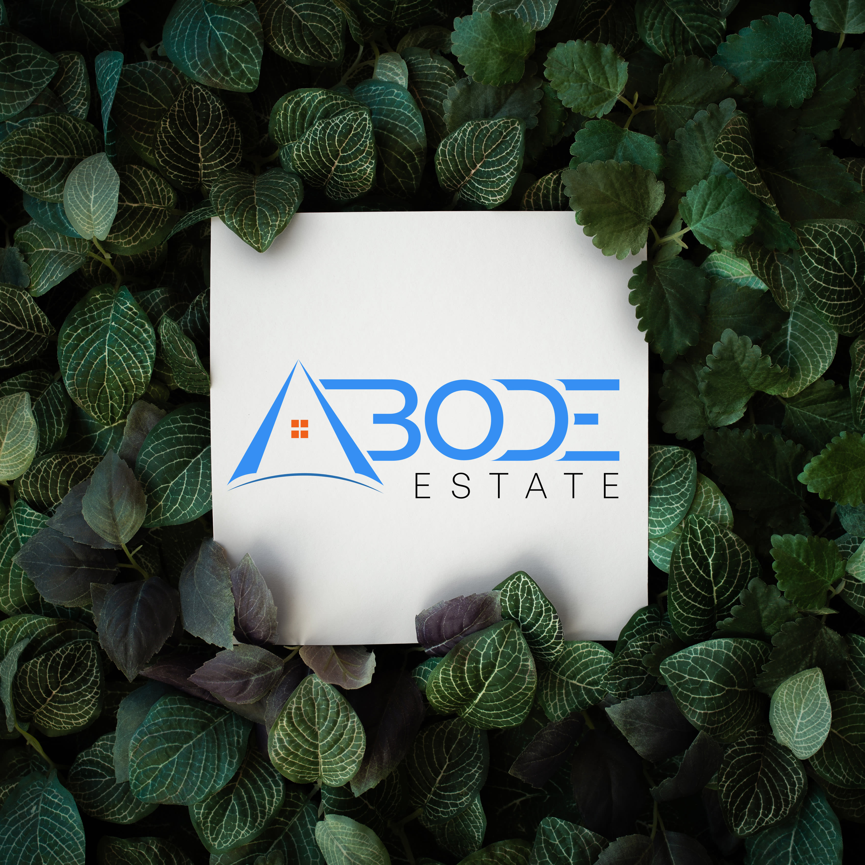 Placeholder project card media