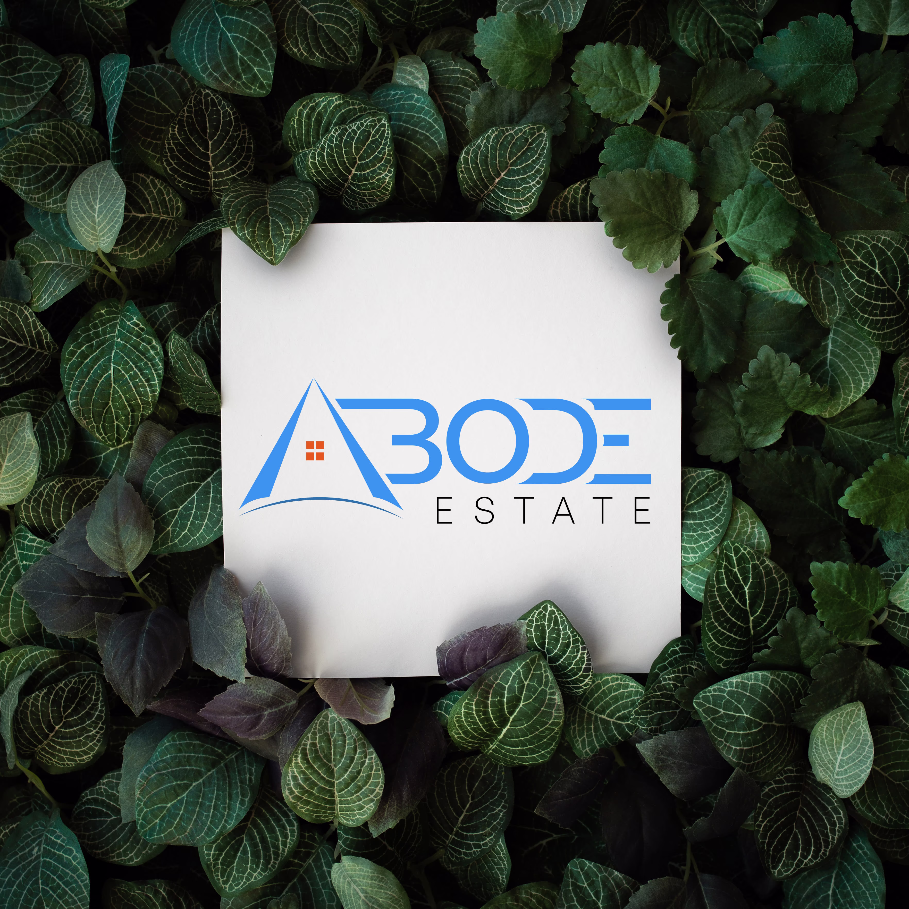 Placeholder project card media