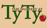 Ty Ty Nursery-icon