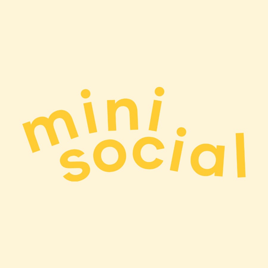 minisocial-icon