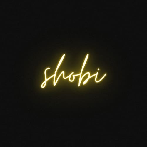 Shobisolutions.com-icon
