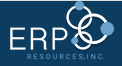 ERP-icon