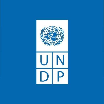 UNDP-icon