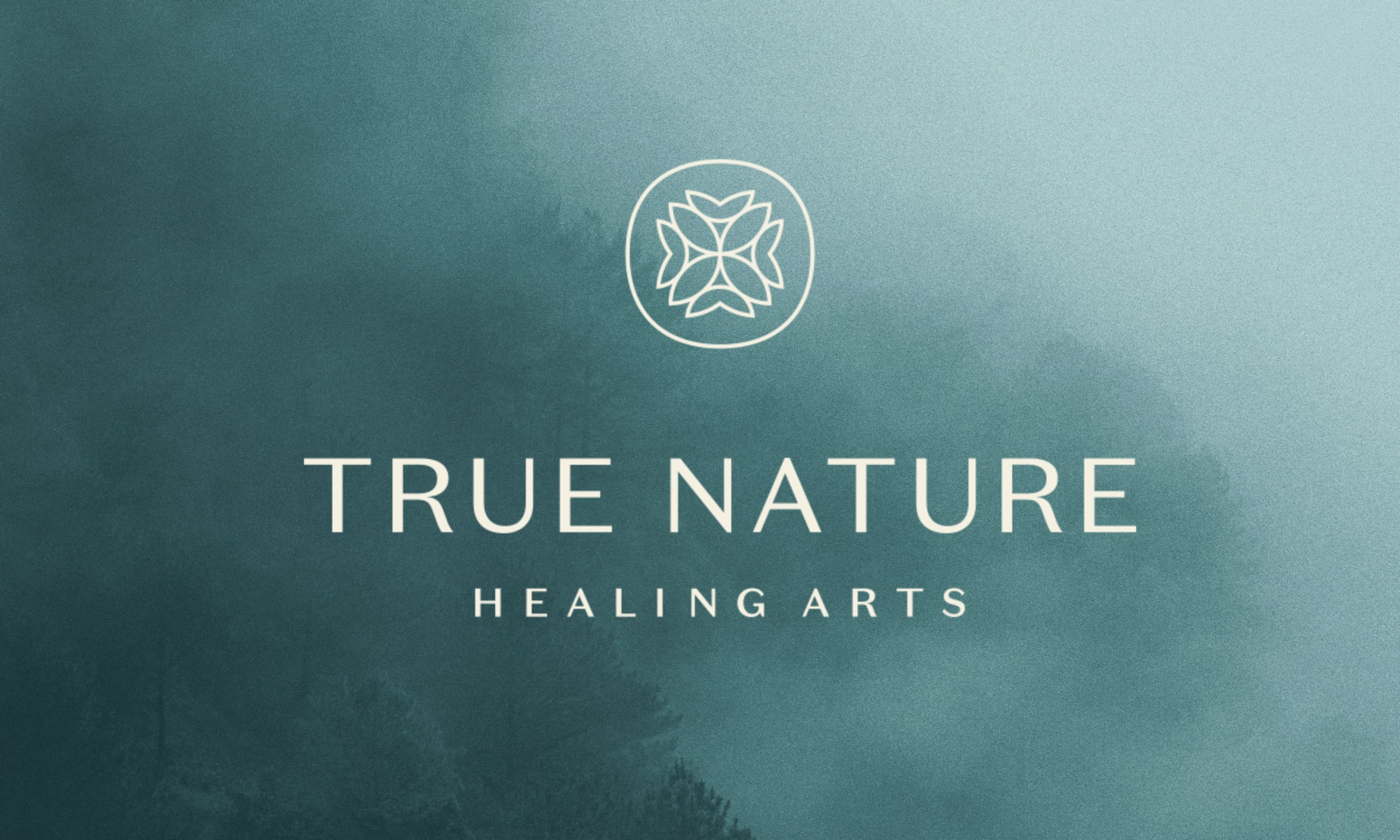 True Nature Healing Arts-icon