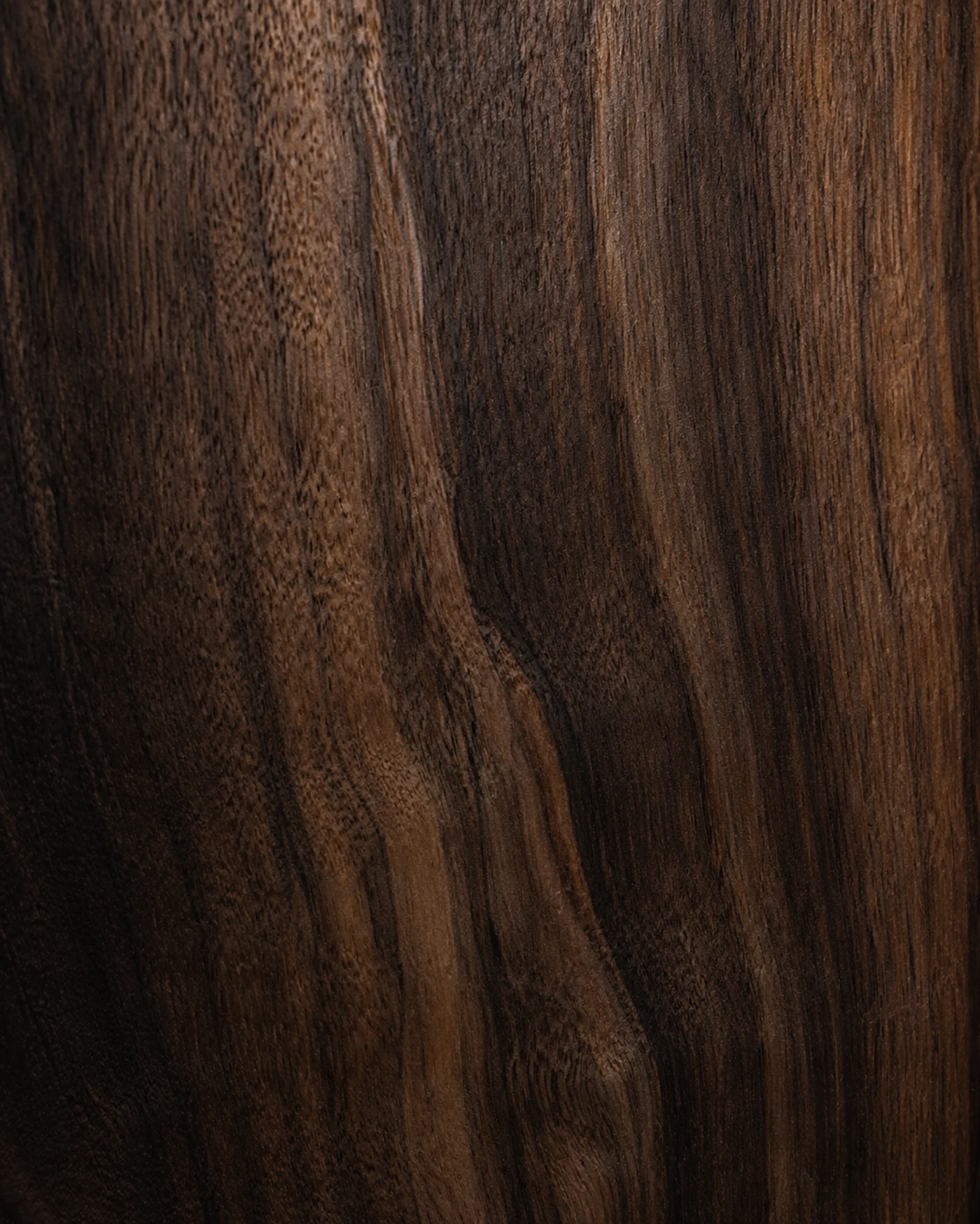 Macro photograph of oiled American black walnut grain