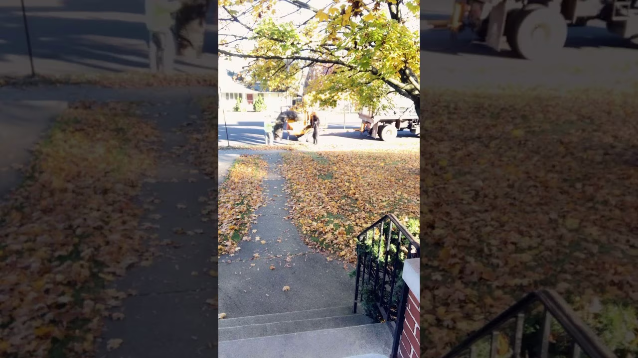 Placeholder project card media