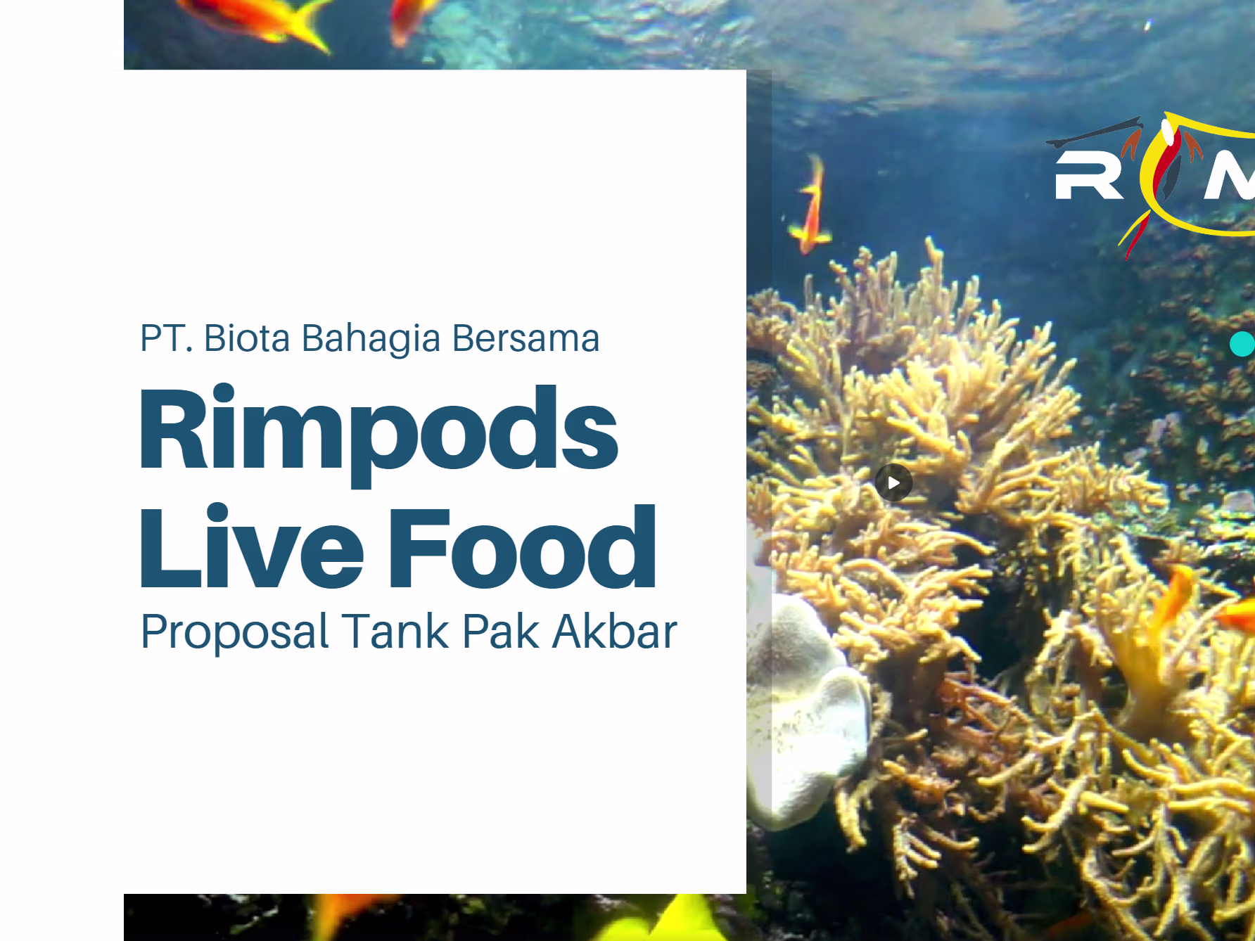 Placeholder project card media