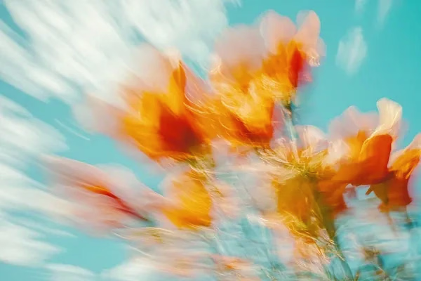 Placeholder project card media