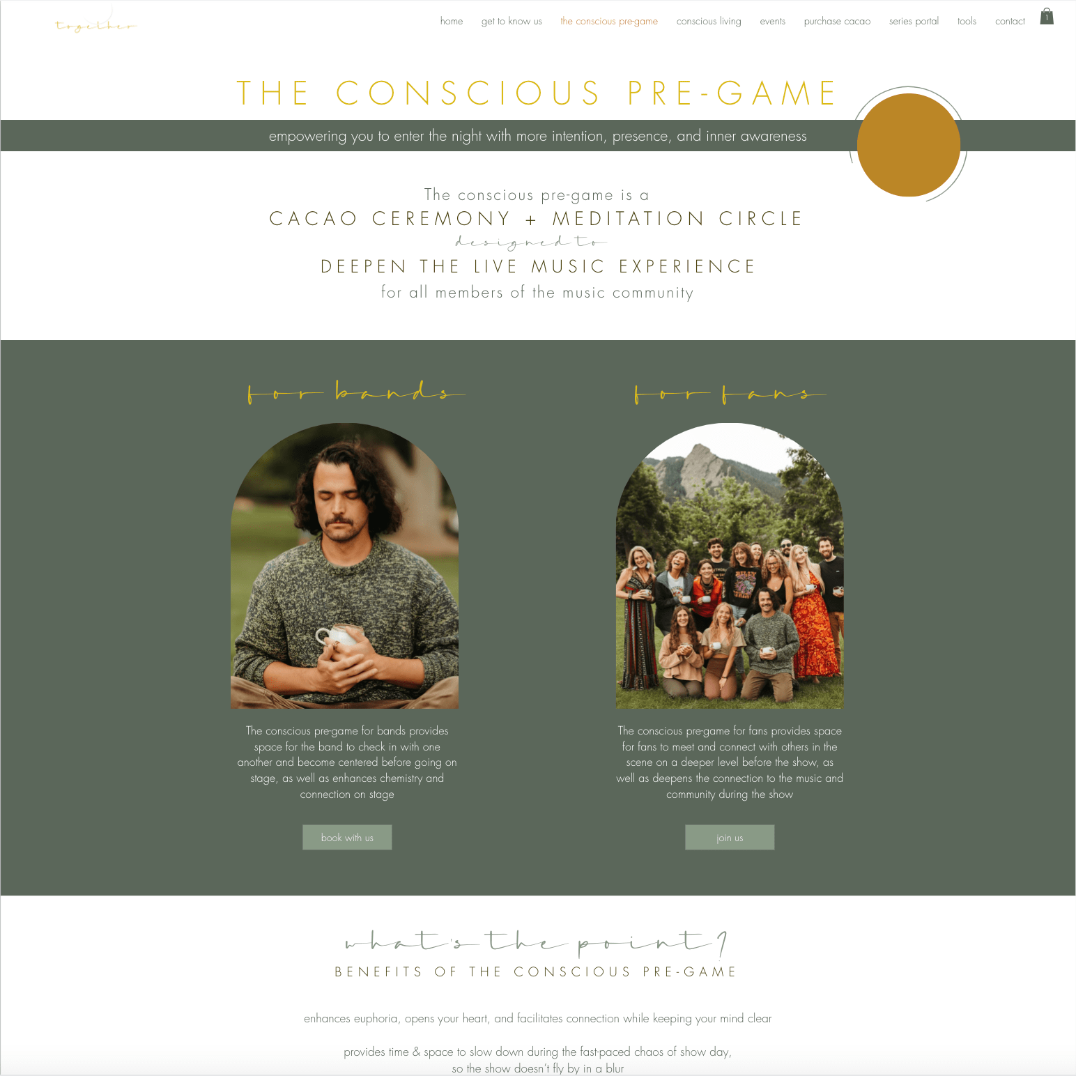 offerings page