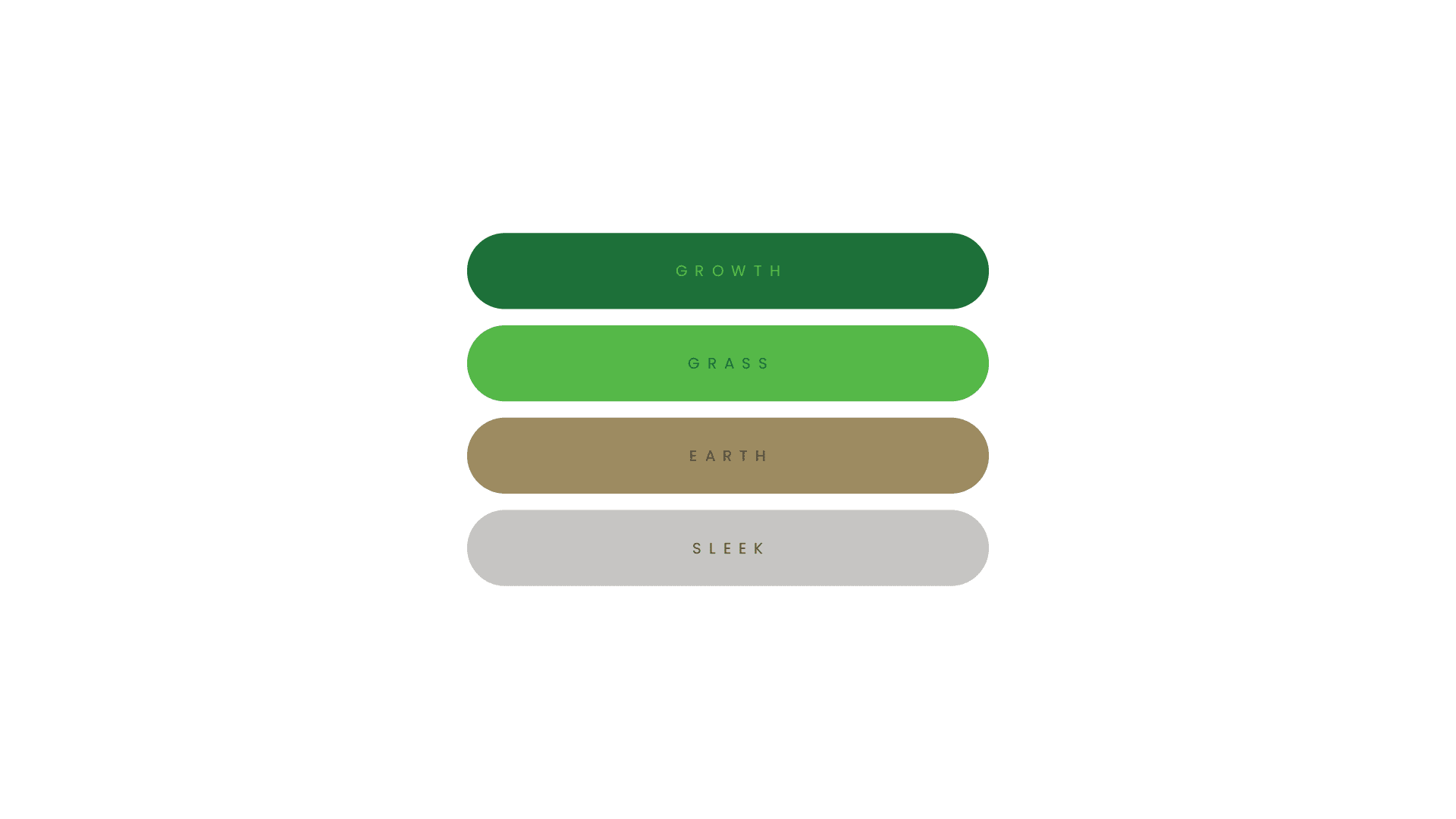 Color Palette