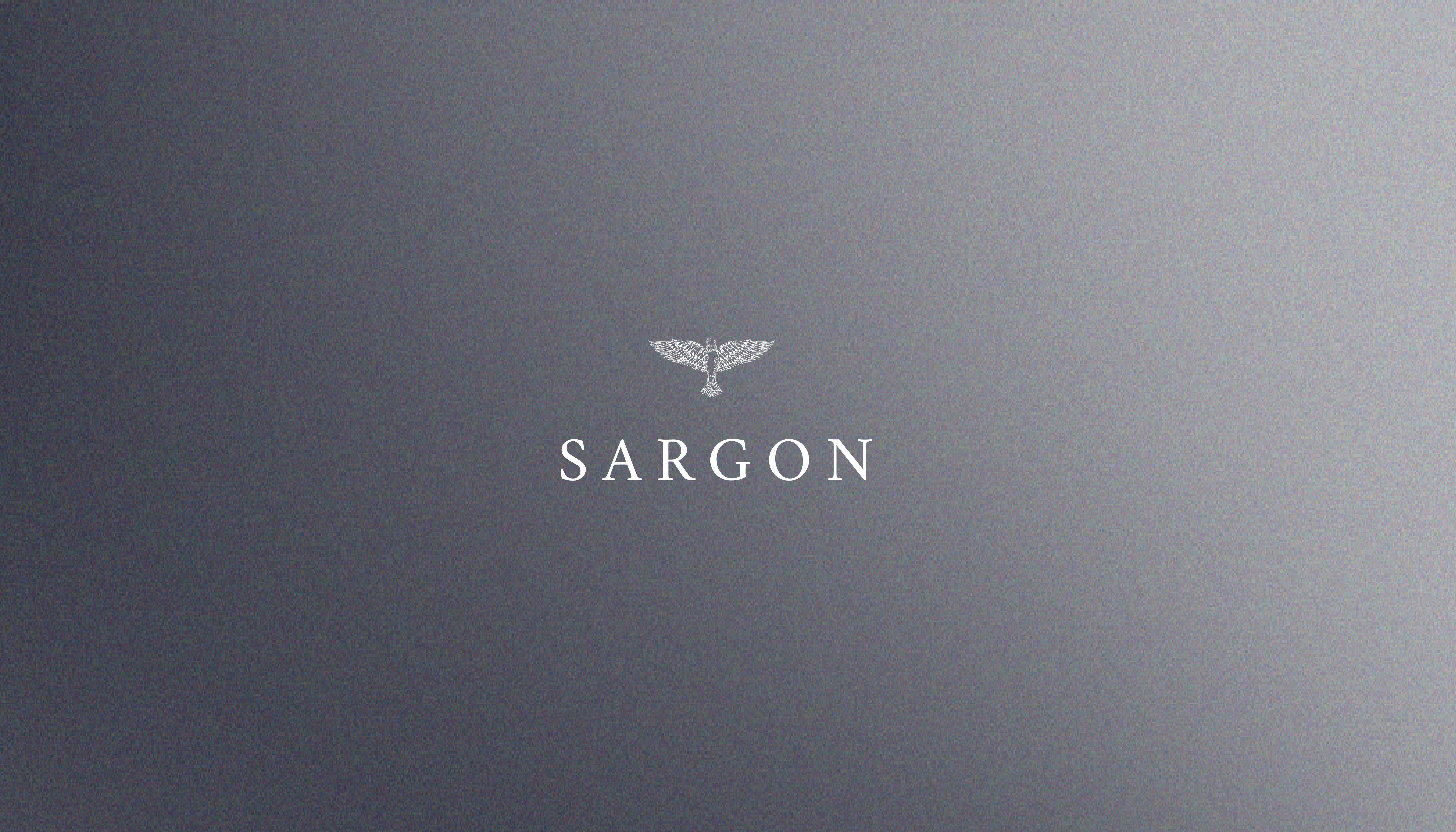 I created branding and logo design work for Sargon, a corporation, in response to a client's unique request for an eagle emblem. In keeping with the client's brand identity and values, the eagle symbol was created to convey strength, leadership, and vision. With a focus on connecting with its target audience and projecting professionalism and authority, the project aimed to develop a unique and memorable visual identity for Sargon.