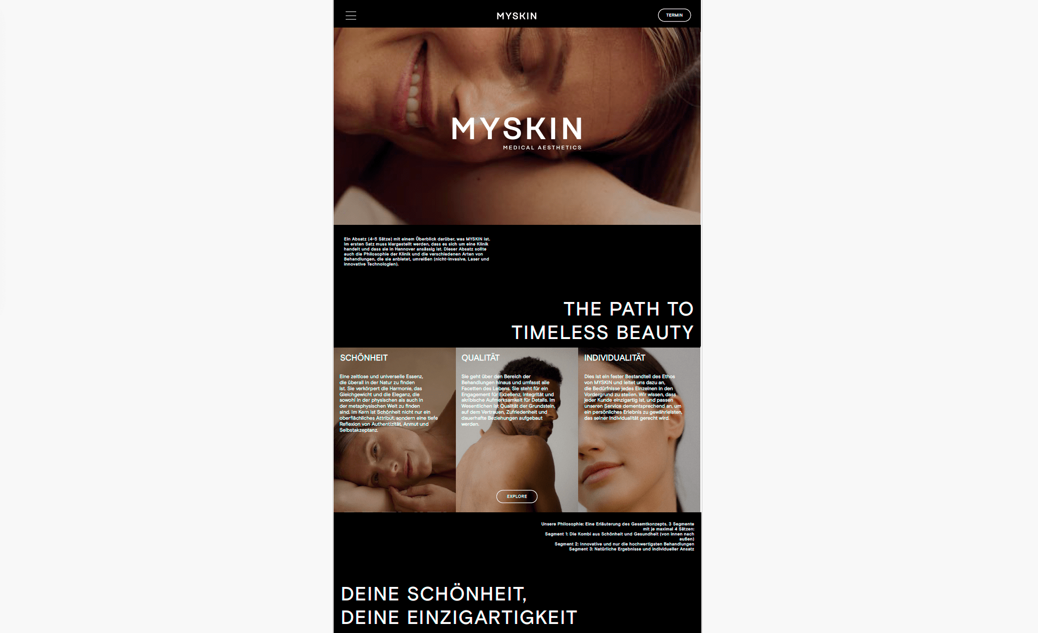 Website visual concept development 