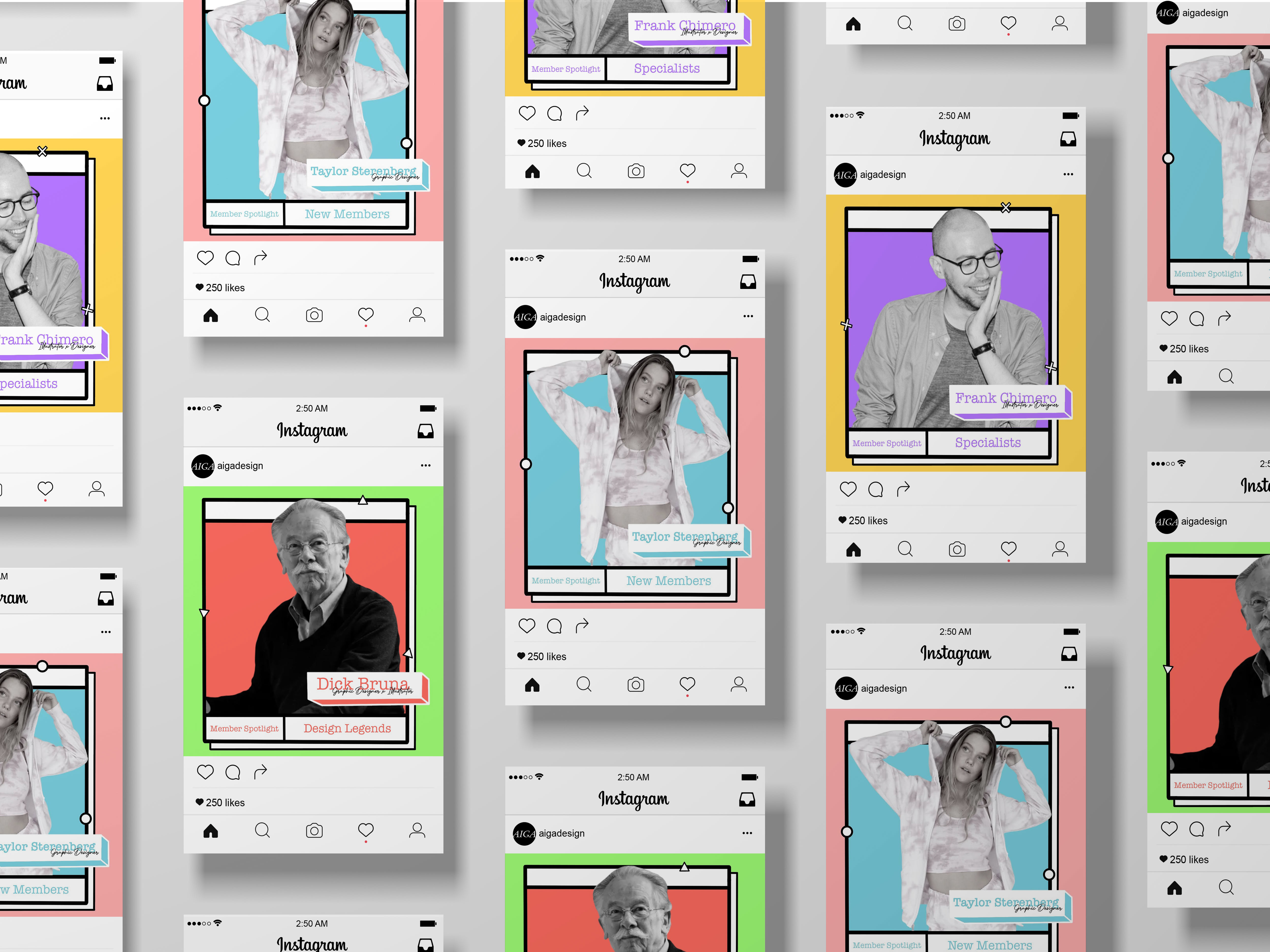 AIGA Social Media Feed Design