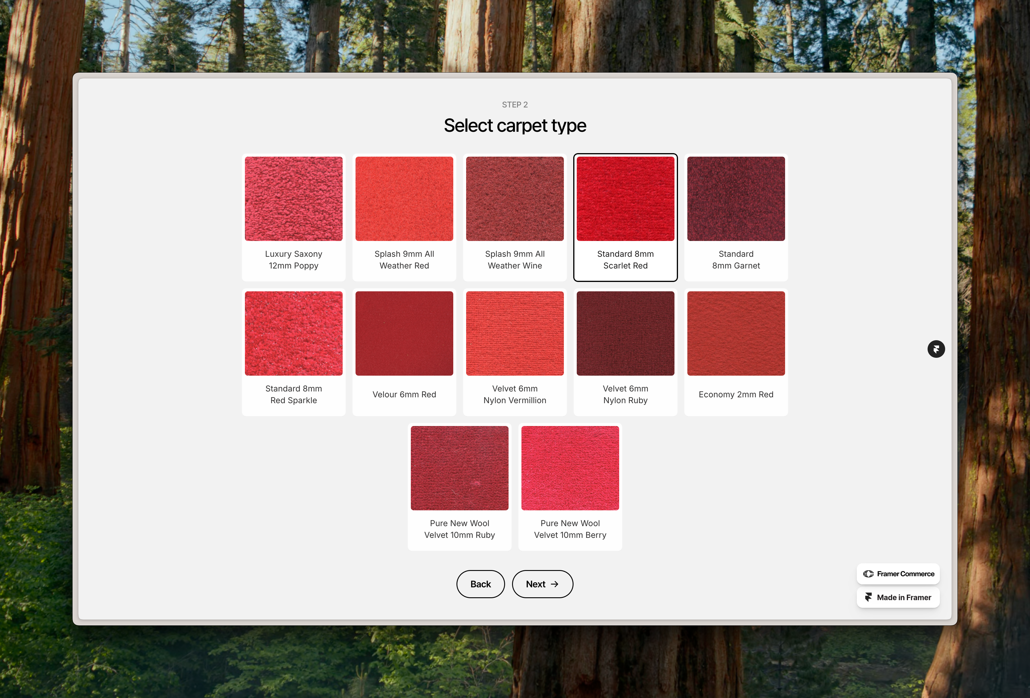 Step 2 - Select Colour Type