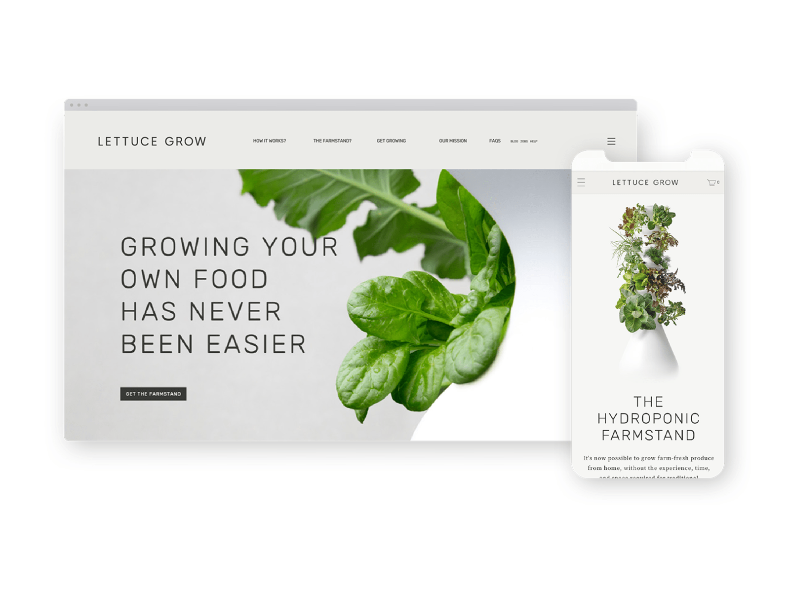 Lettuce Grow / Previous Home Page Design