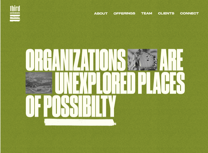 Hero Section of the Home Page 