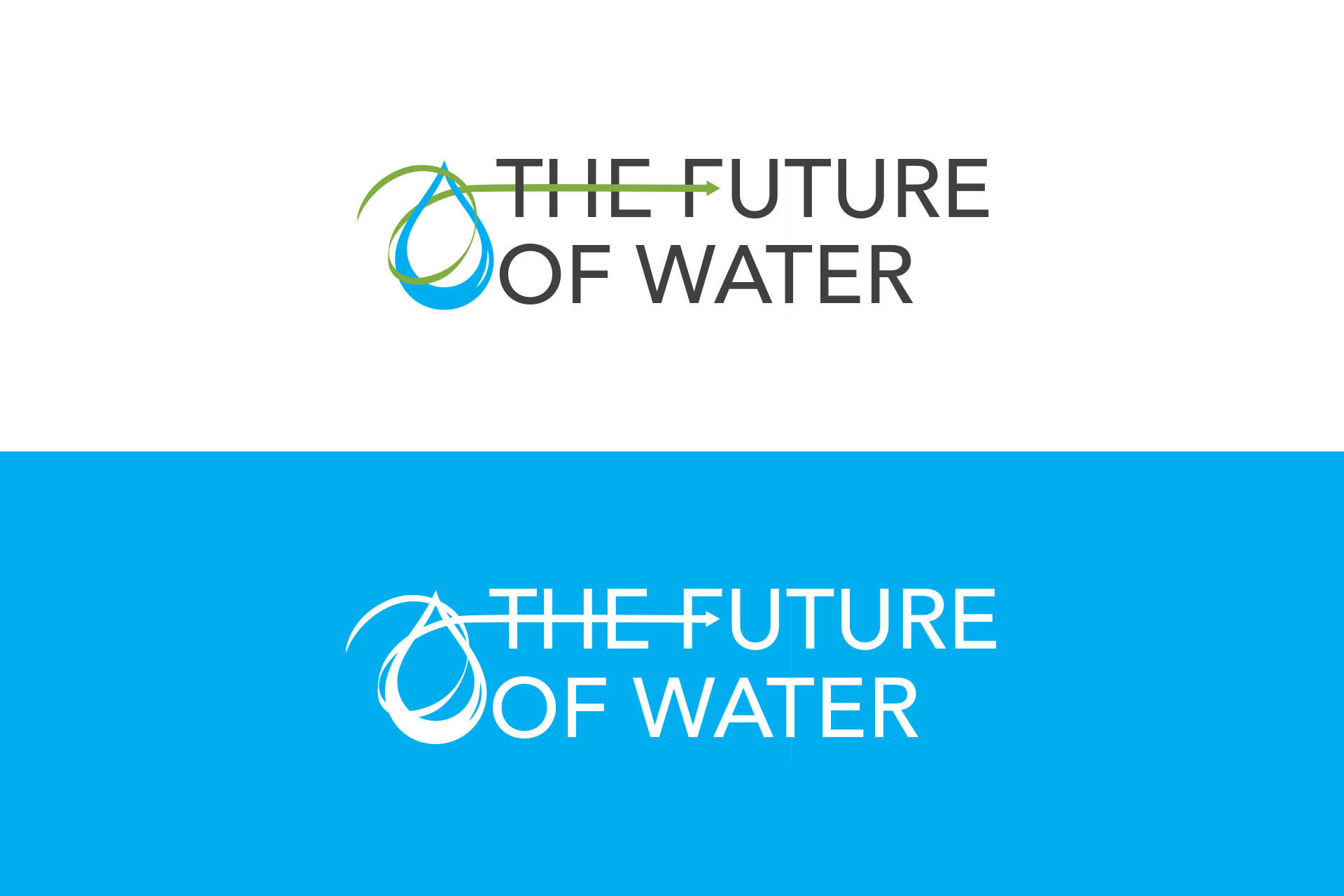 Logo for website and other places