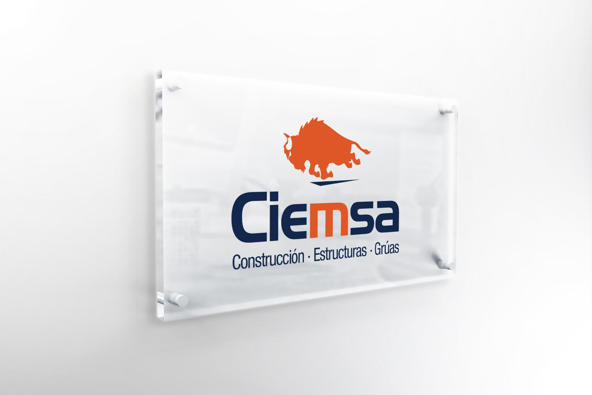 Ciemsa logo