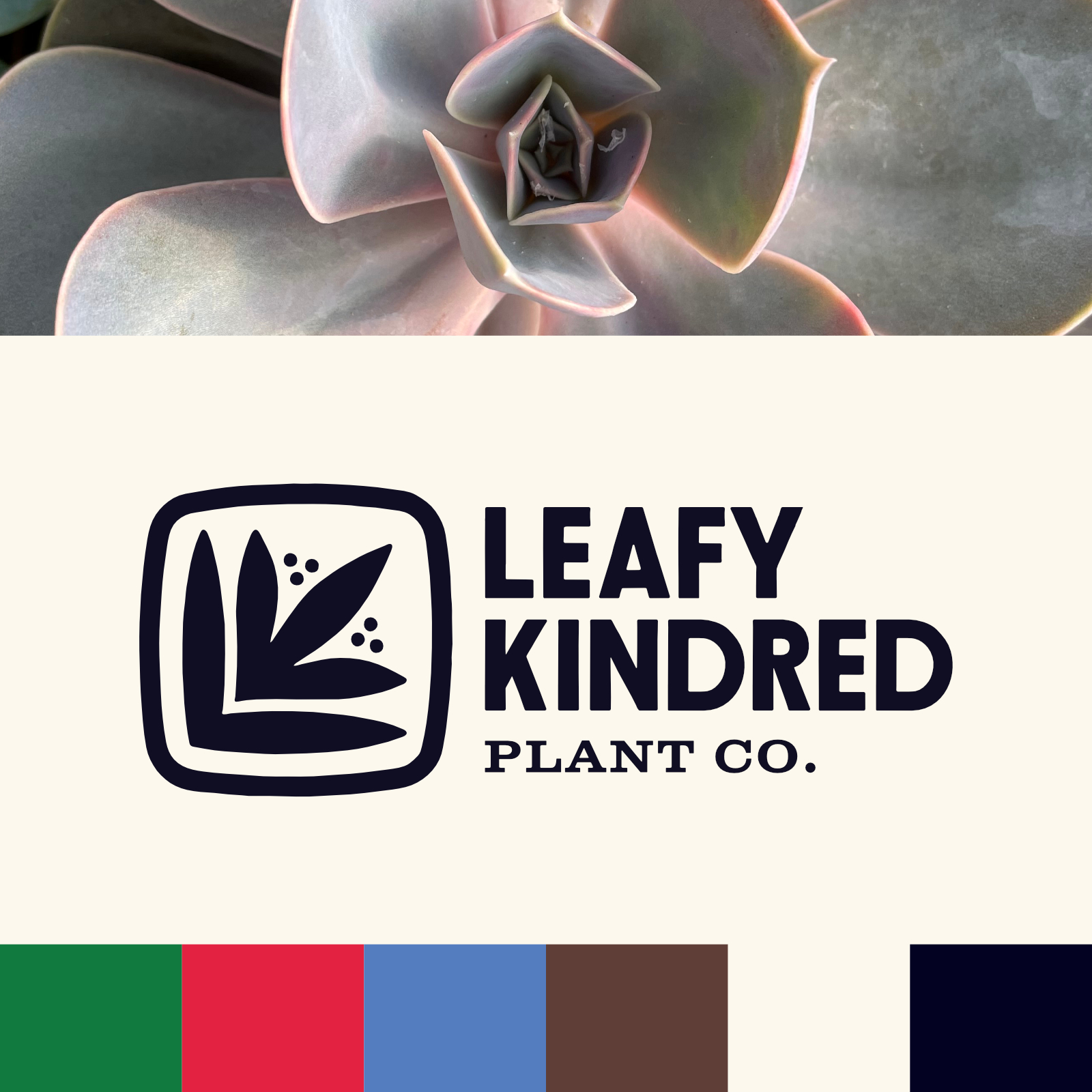 Black and white logo variation and brand colors.