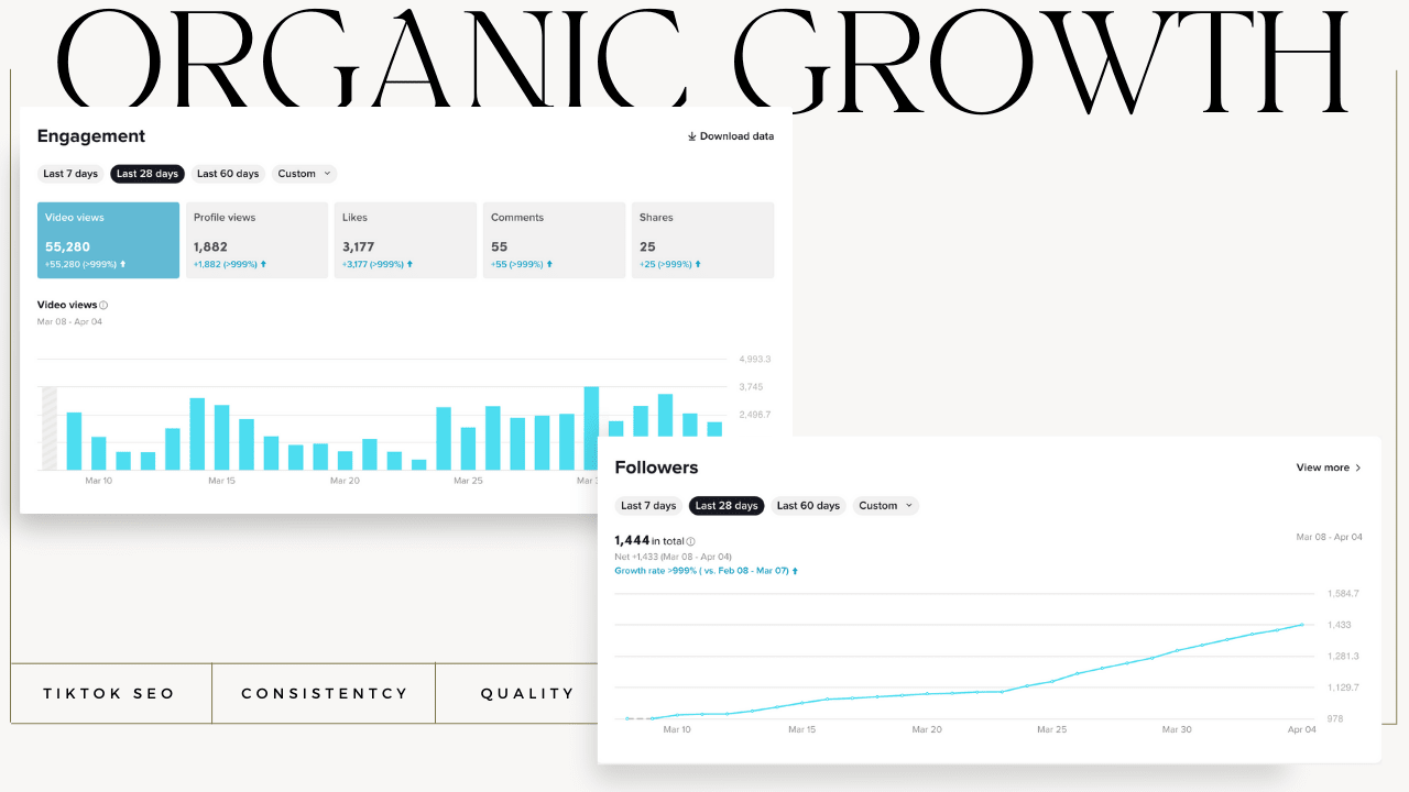TikTok KPI's showcasing 28 days of engagement growth and follower growth