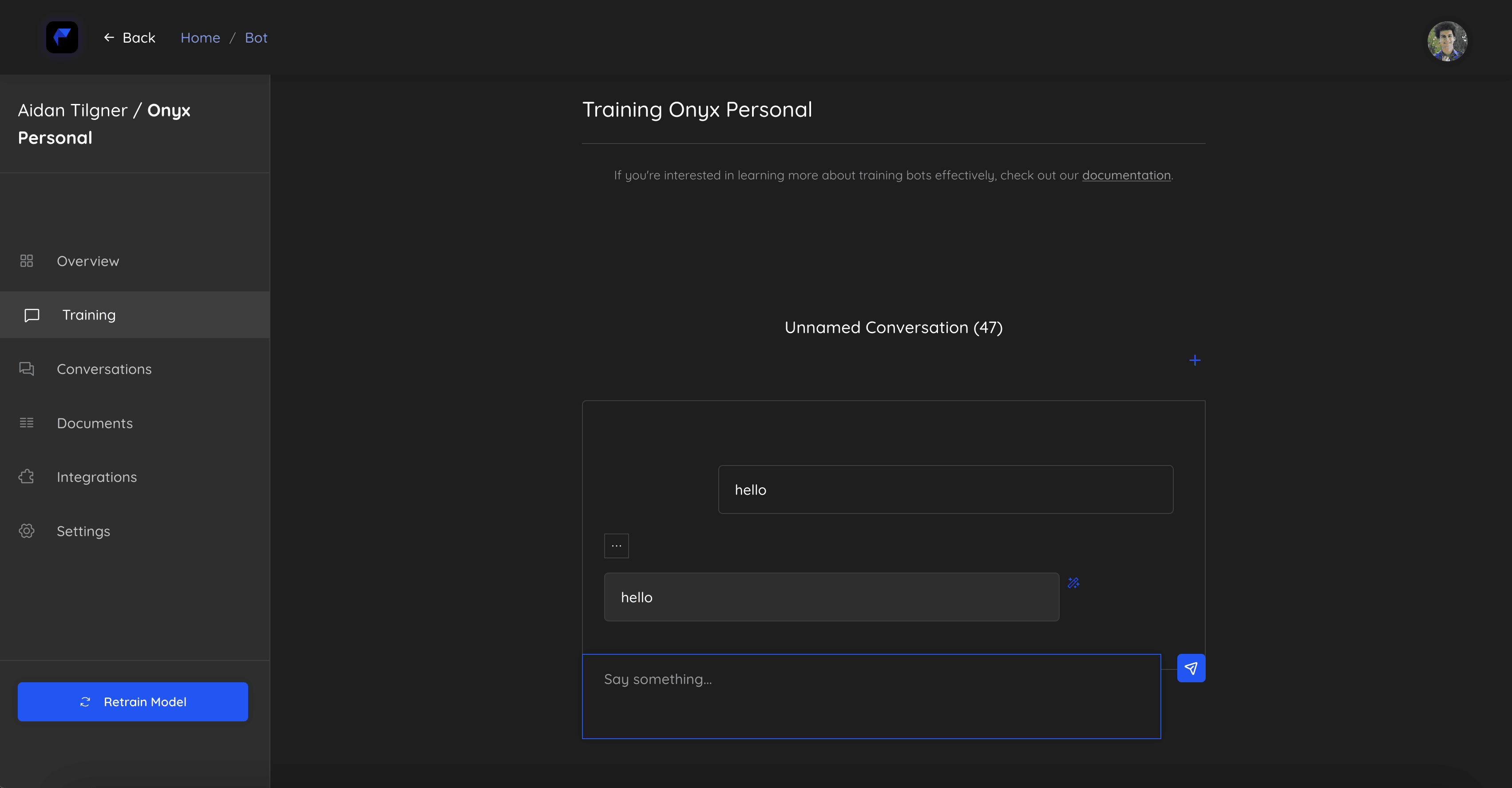 My admittedly very developer-y training interface