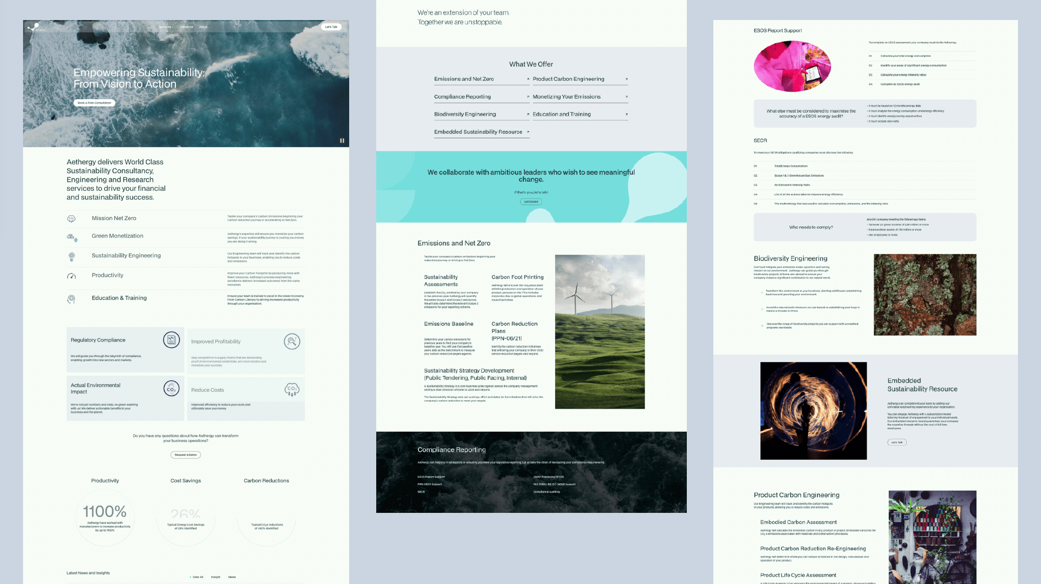 Some snippets of the final site