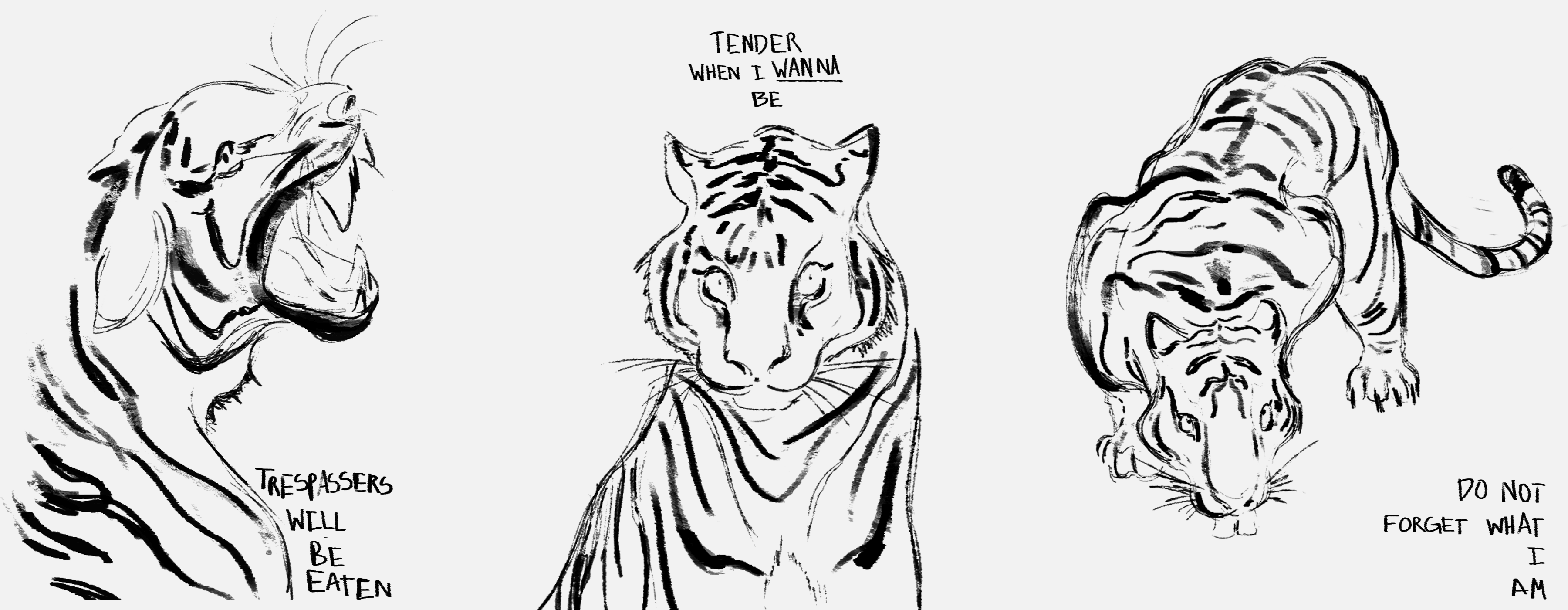 Tigers