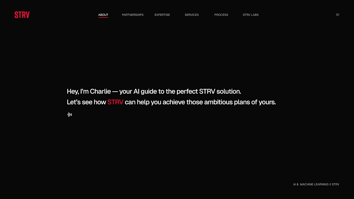 STRV AI Chat Interface - Conversation
