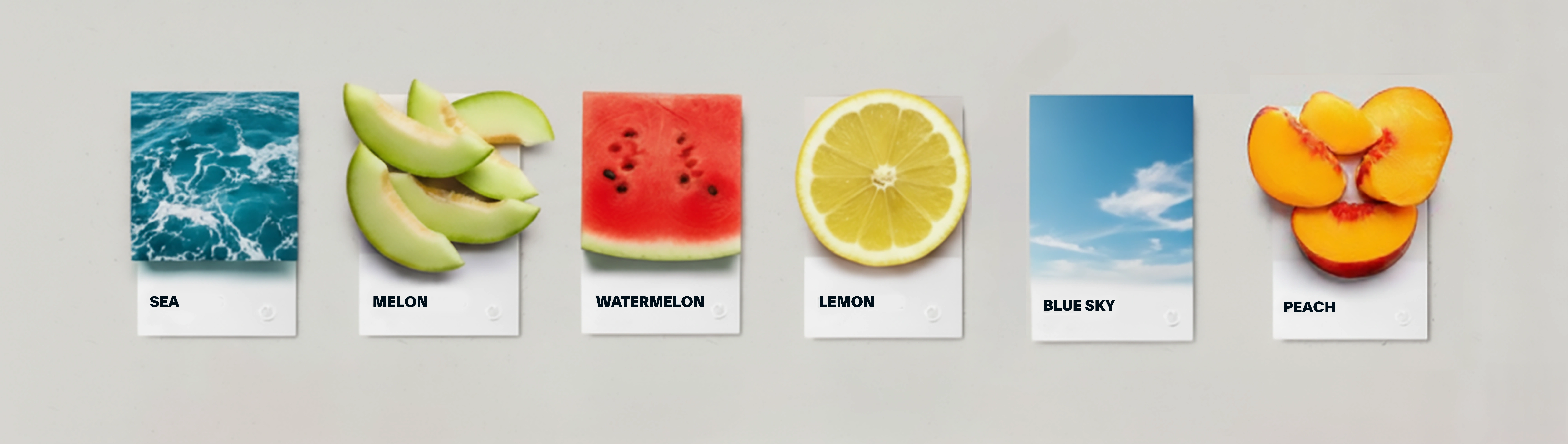 Color palette of Luxmelon's brand