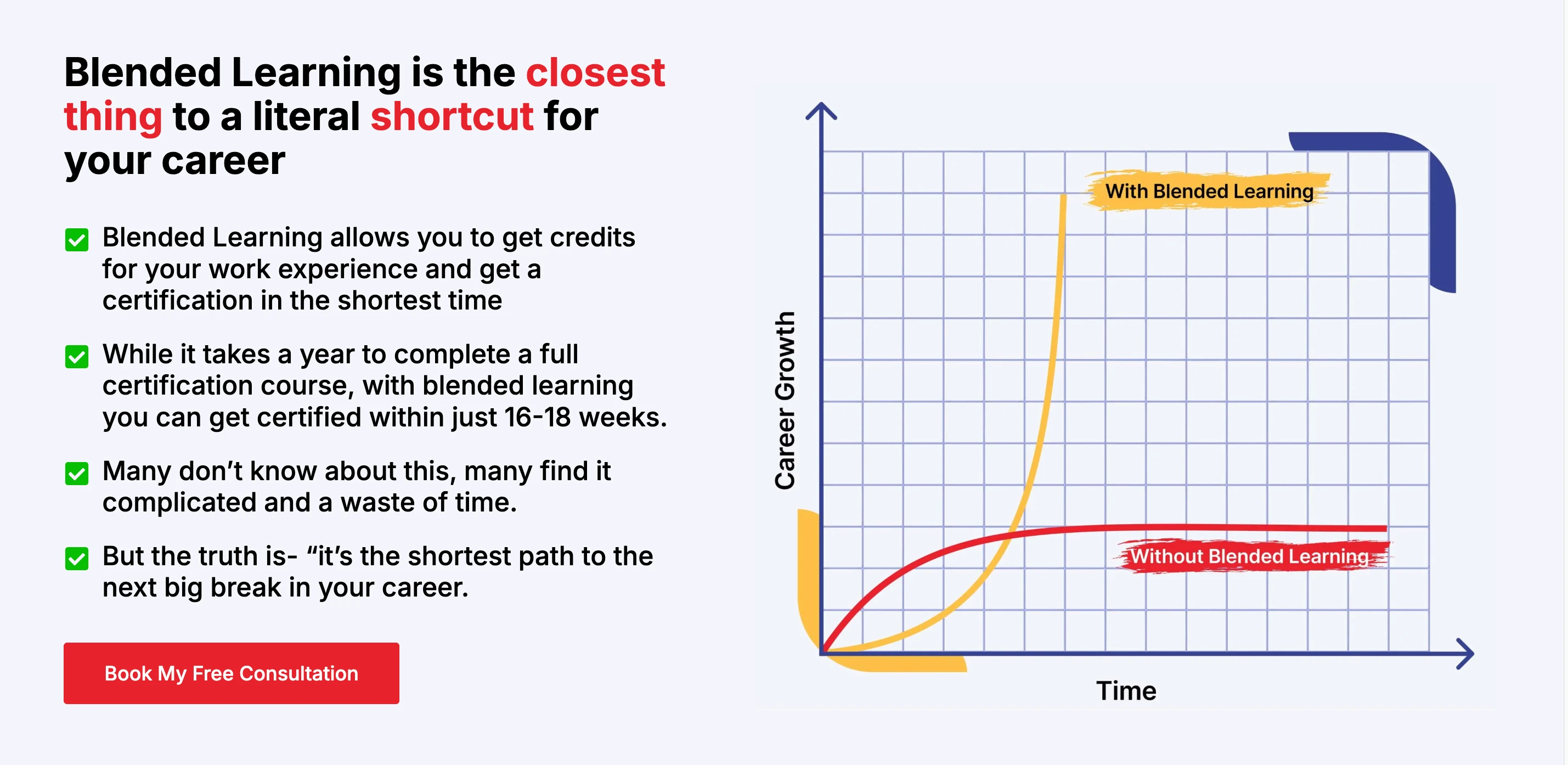 Custom Illustrations