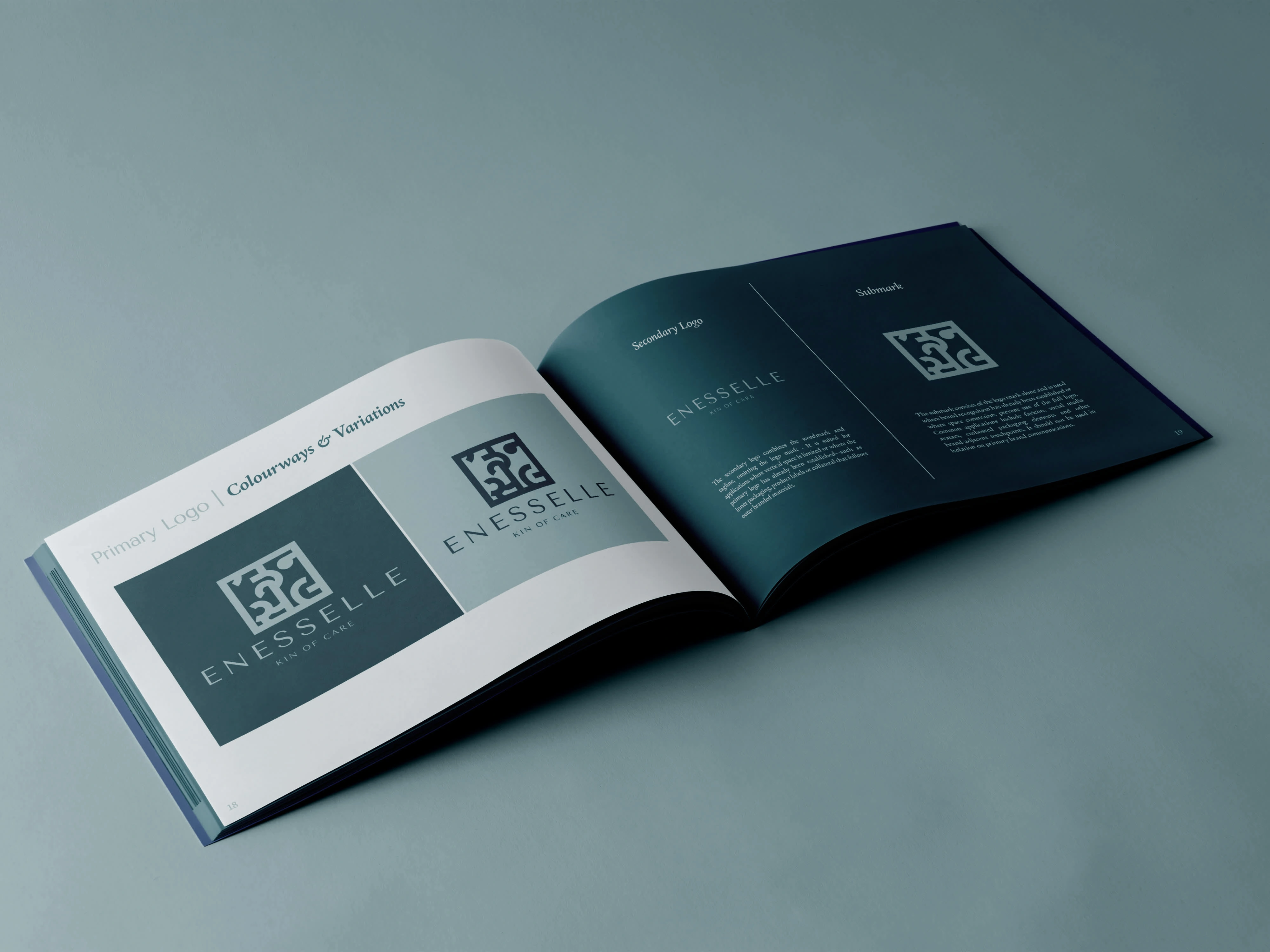 Brand guidelines showcasing primary logo and logo variations.