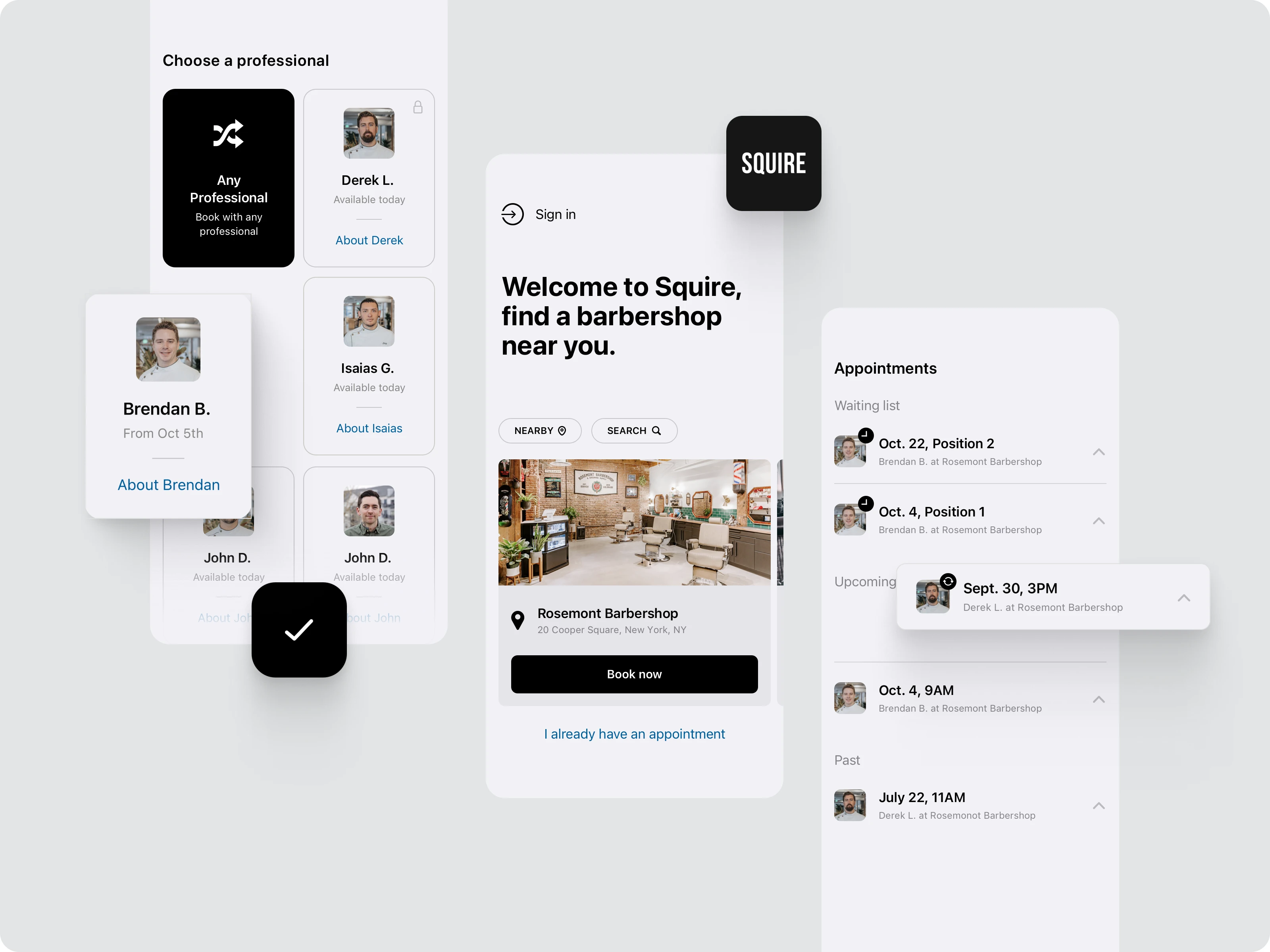Home screen, appointments and choosing professional