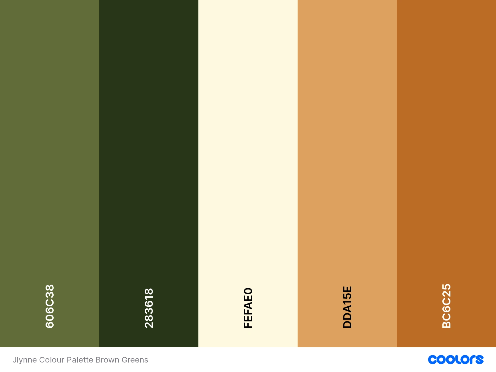 The design colour guidelines