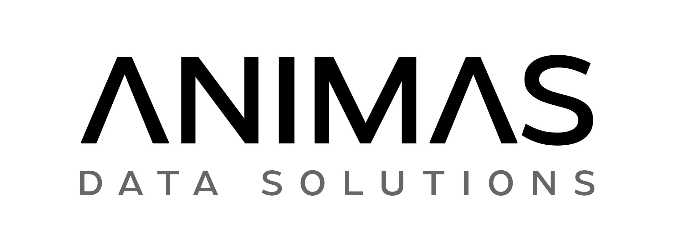 Original logo: minimal, straightforward, but lacking personality and differentiation.